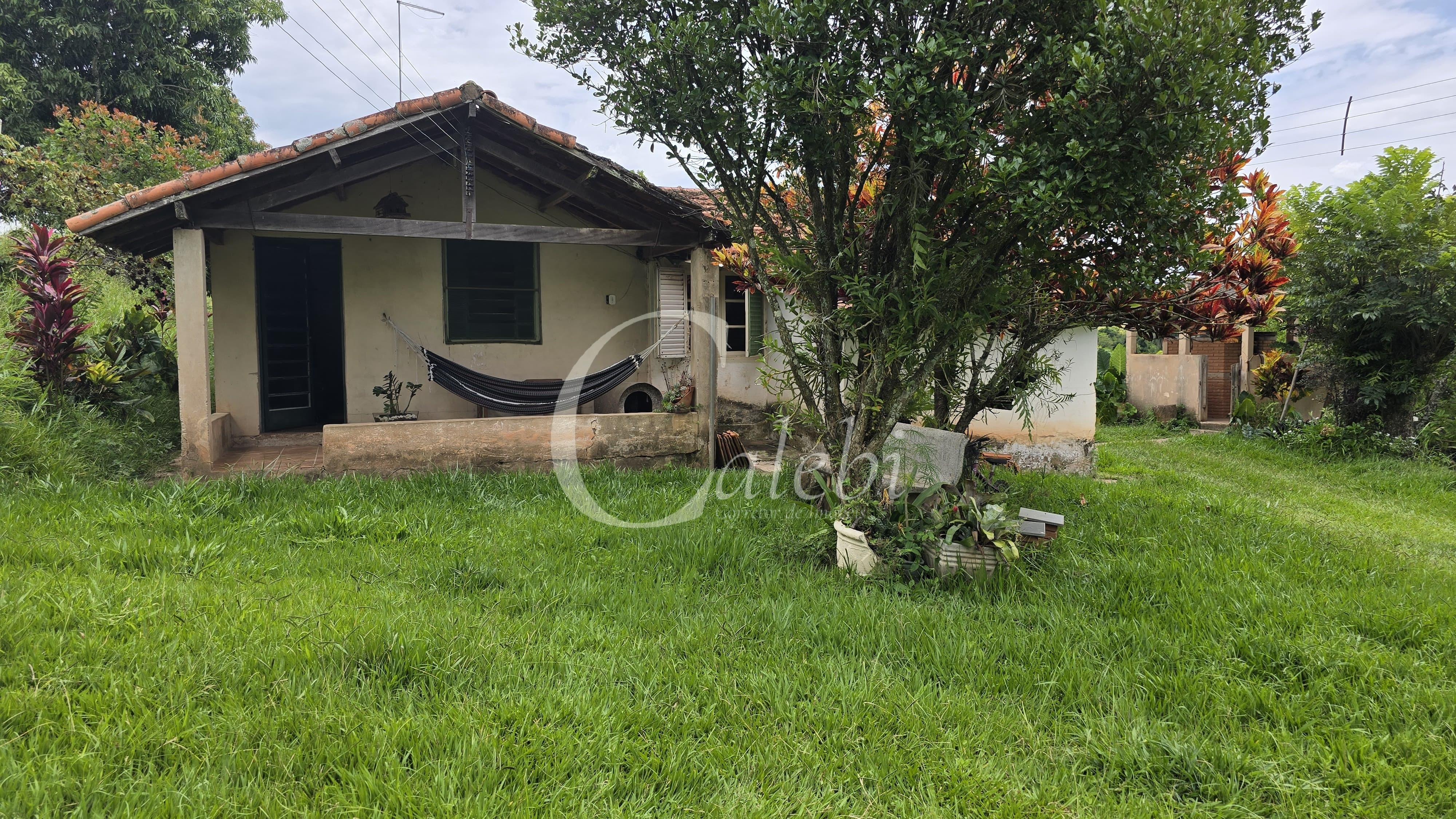 Sítio, 3 quartos, 4 hectares - Foto 1