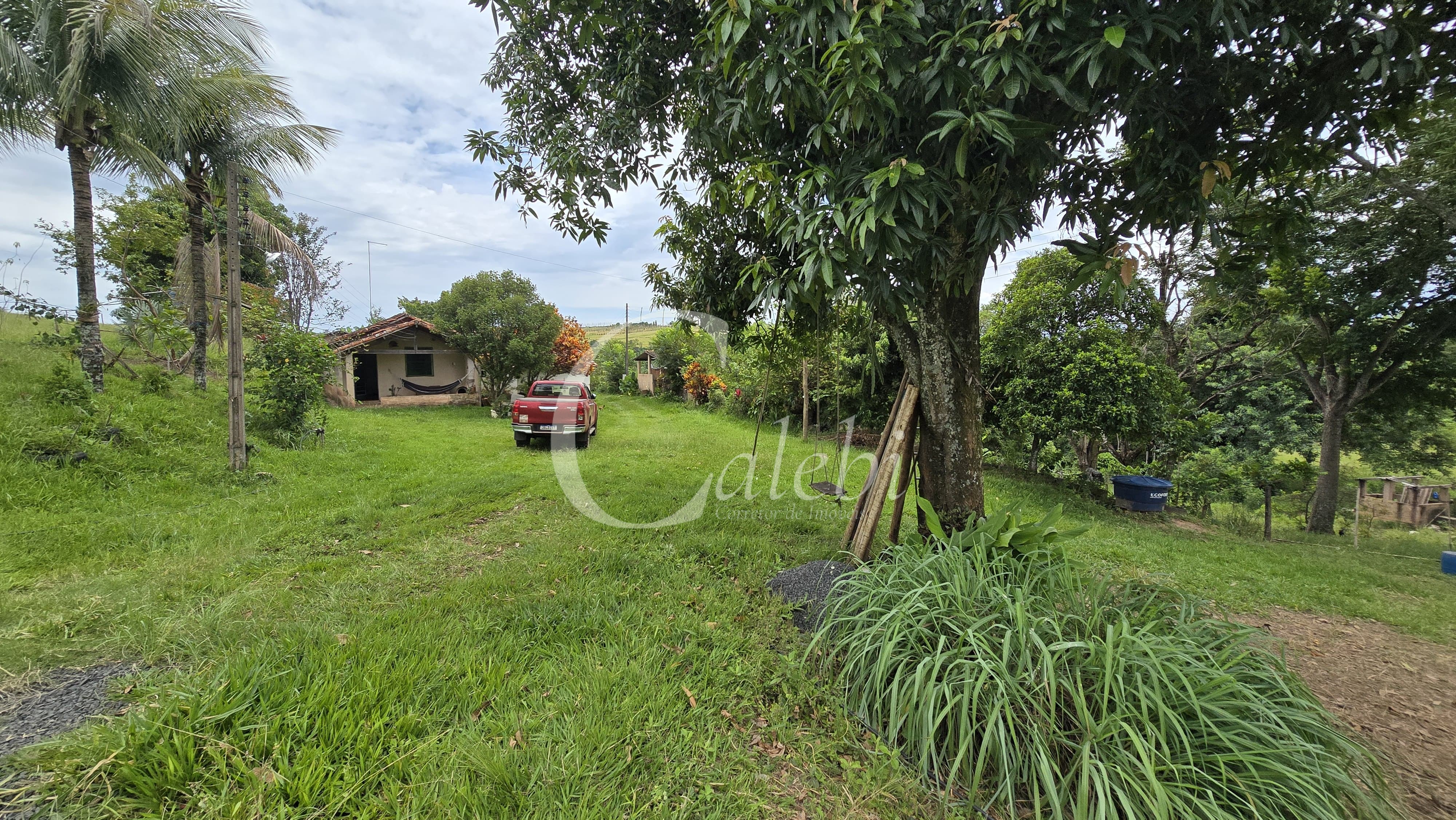 Sítio, 3 quartos, 4 hectares - Foto 3