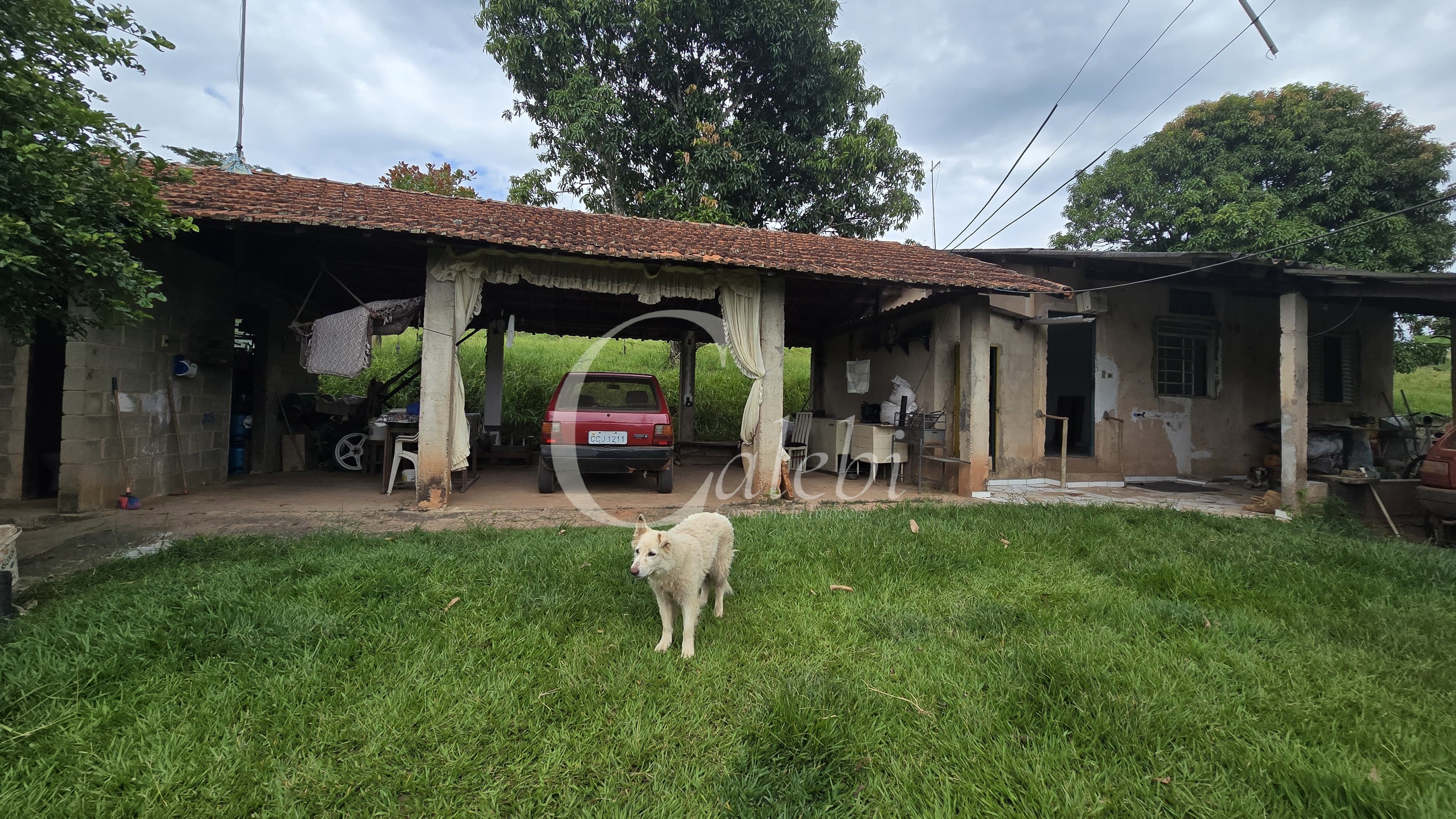 Sítio, 3 quartos, 4 hectares - Foto 4