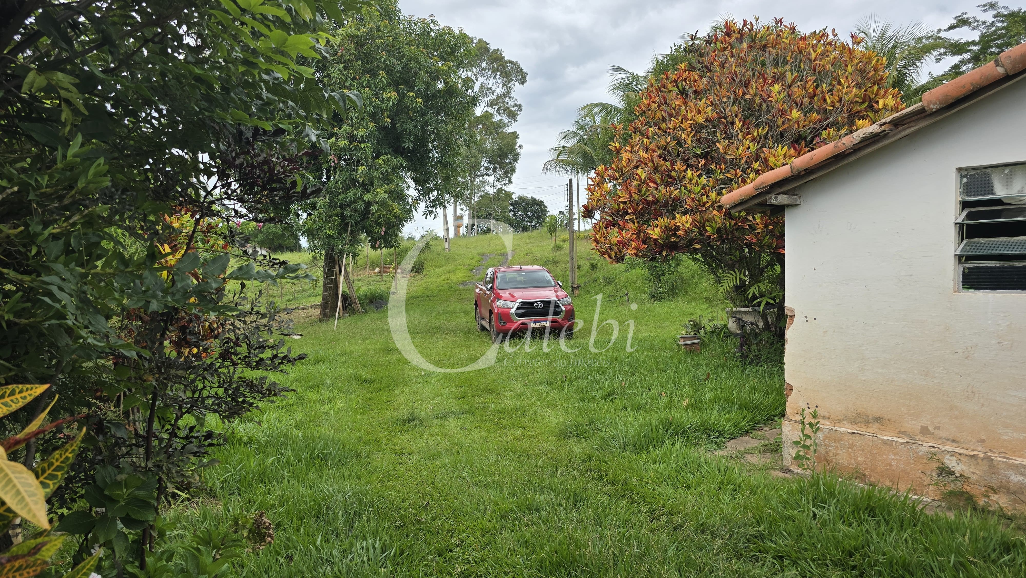 Sítio, 3 quartos, 4 hectares - Foto 5