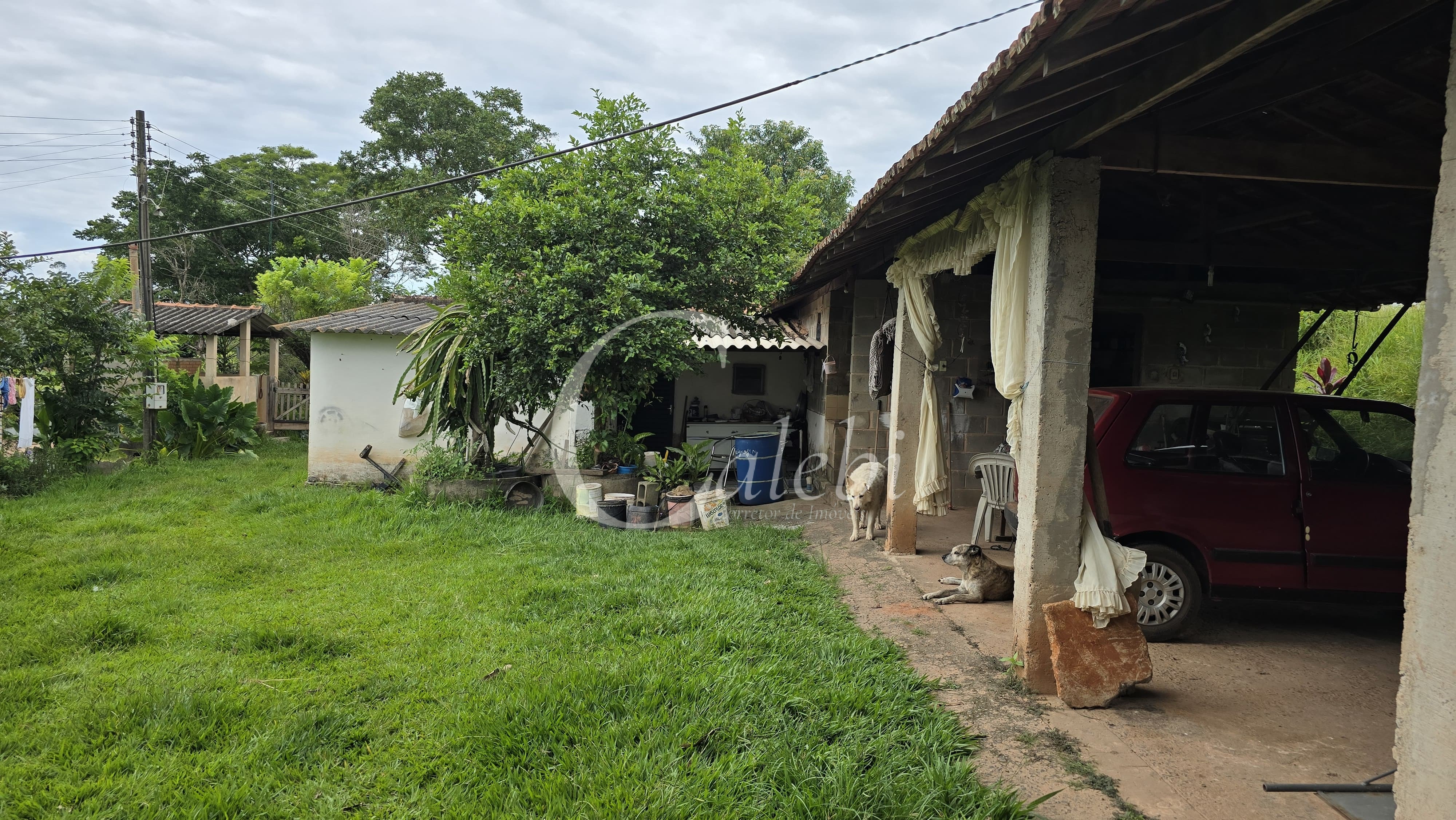 Sítio, 3 quartos, 4 hectares - Foto 6