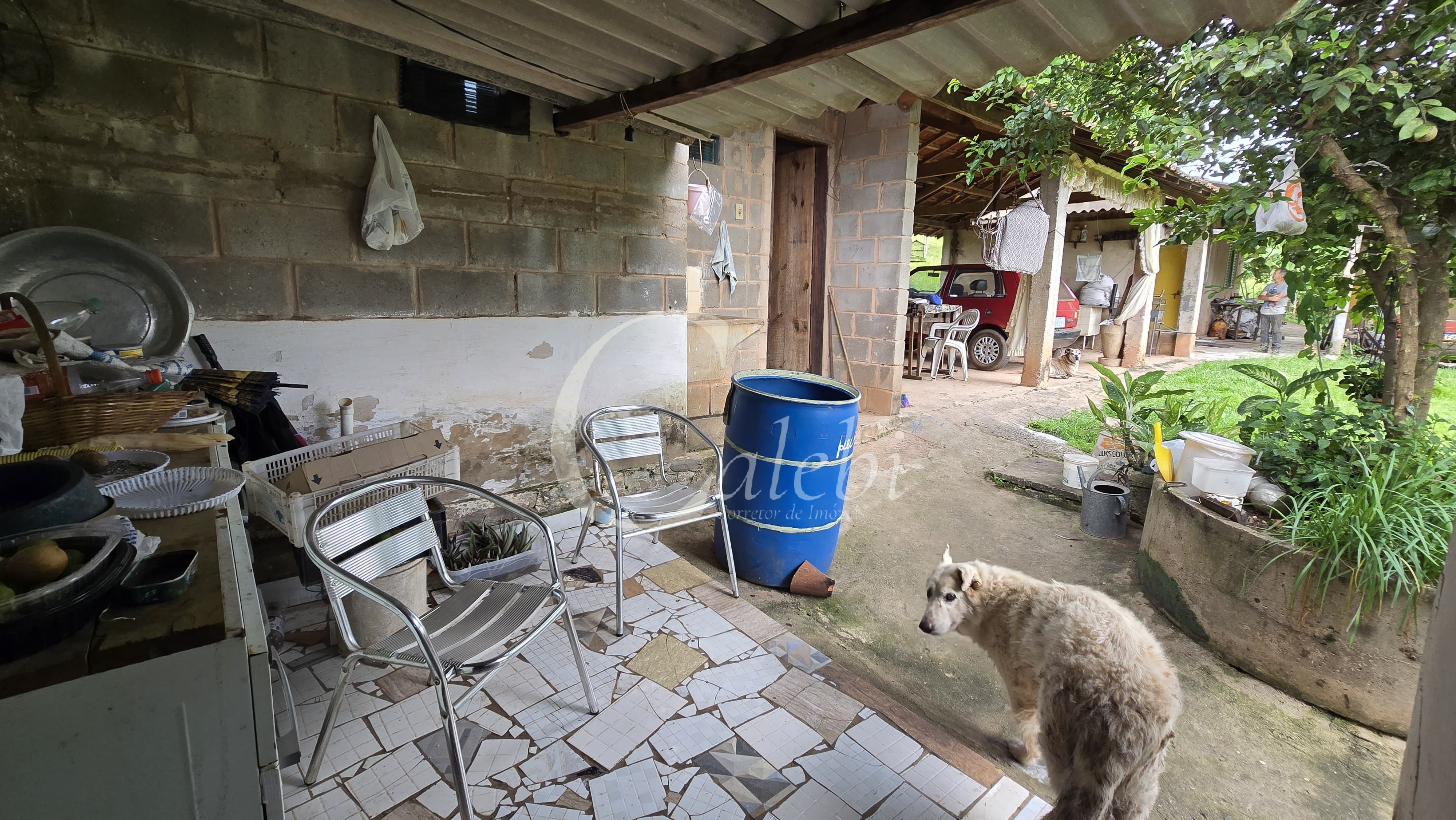 Sítio, 3 quartos, 4 hectares - Foto 10