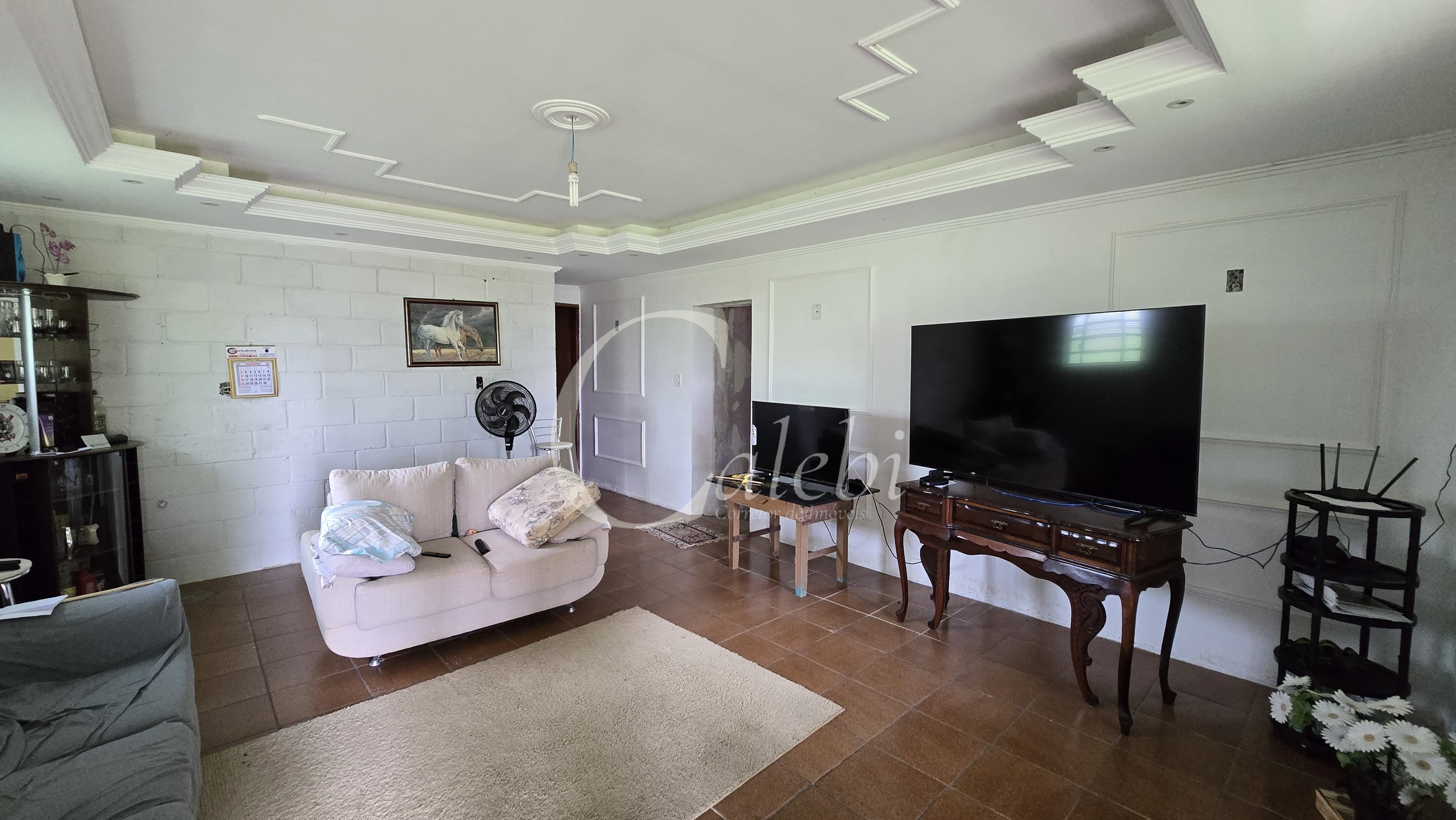 Sítio, 3 quartos, 4 hectares - Foto 14