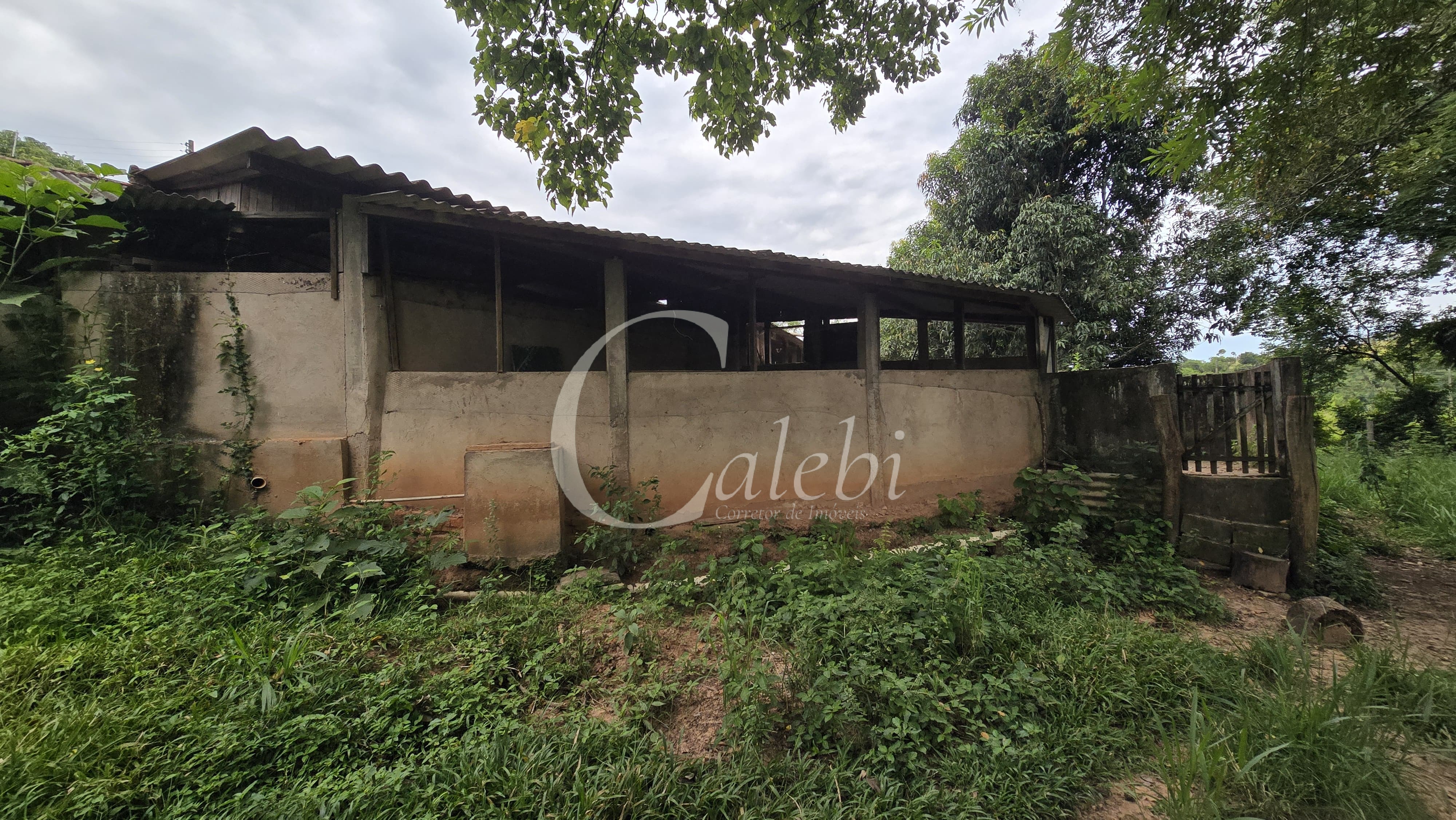 Sítio, 3 quartos, 4 hectares - Foto 23