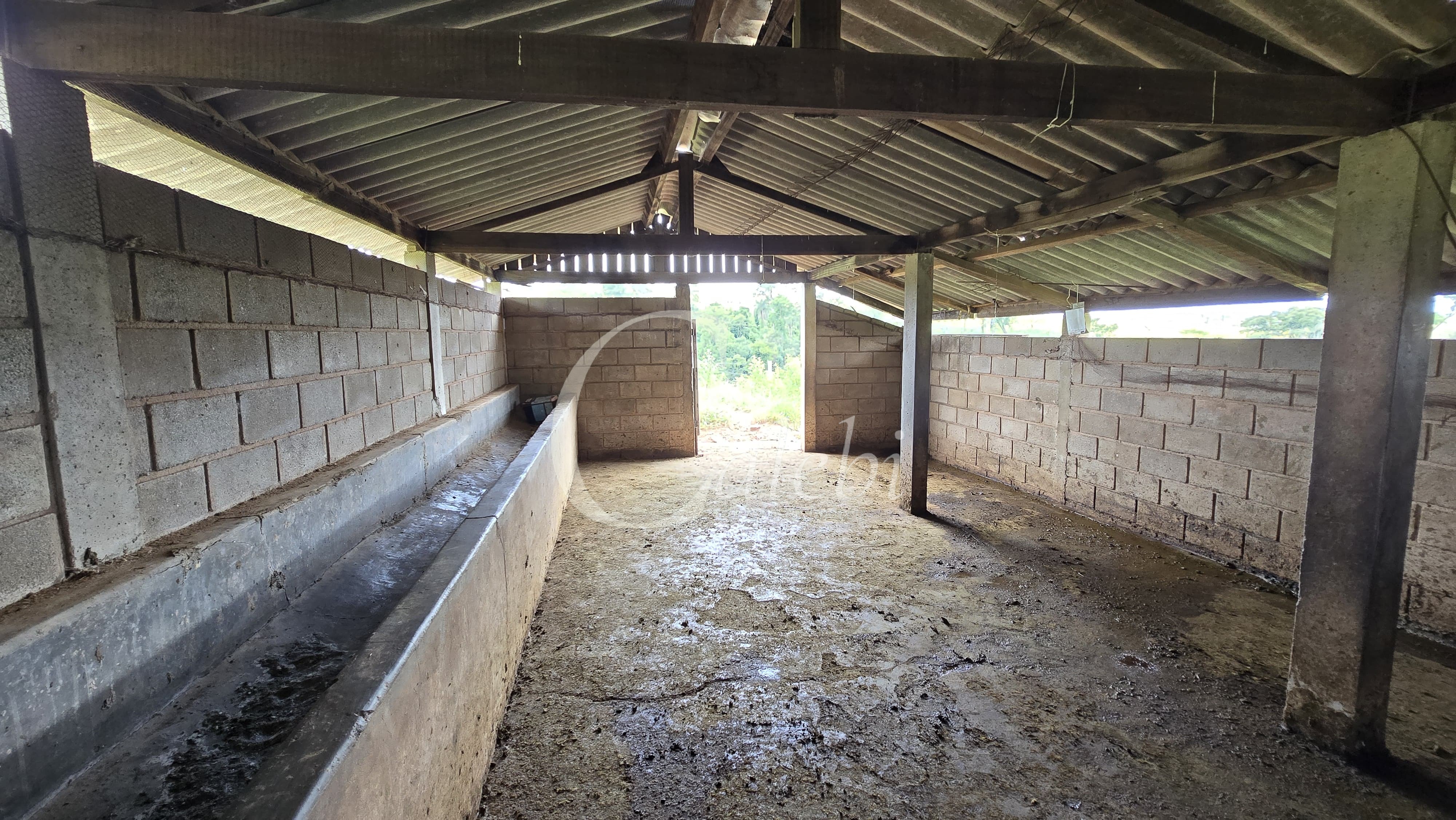 Sítio, 3 quartos, 4 hectares - Foto 24