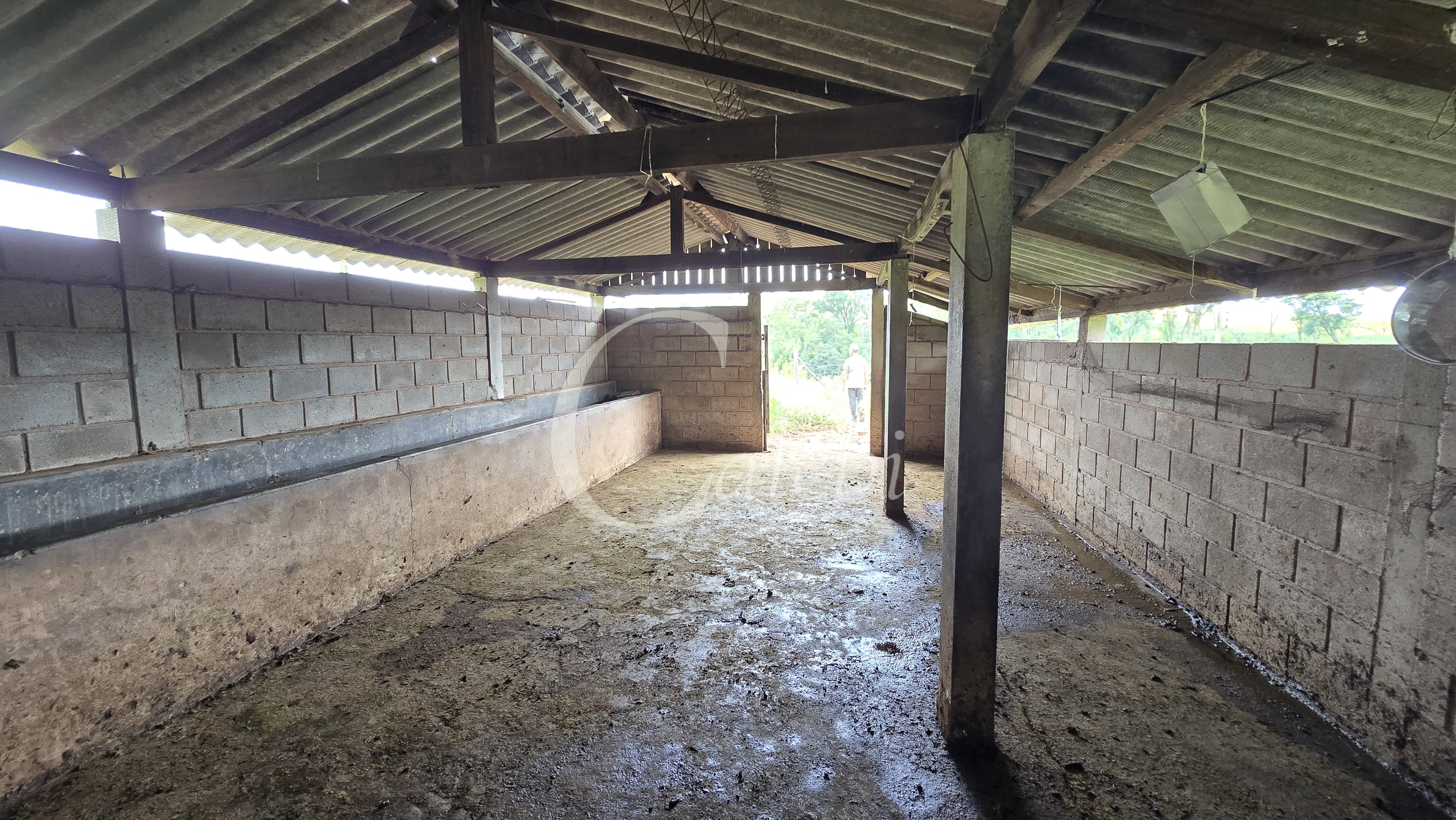 Sítio, 3 quartos, 4 hectares - Foto 25