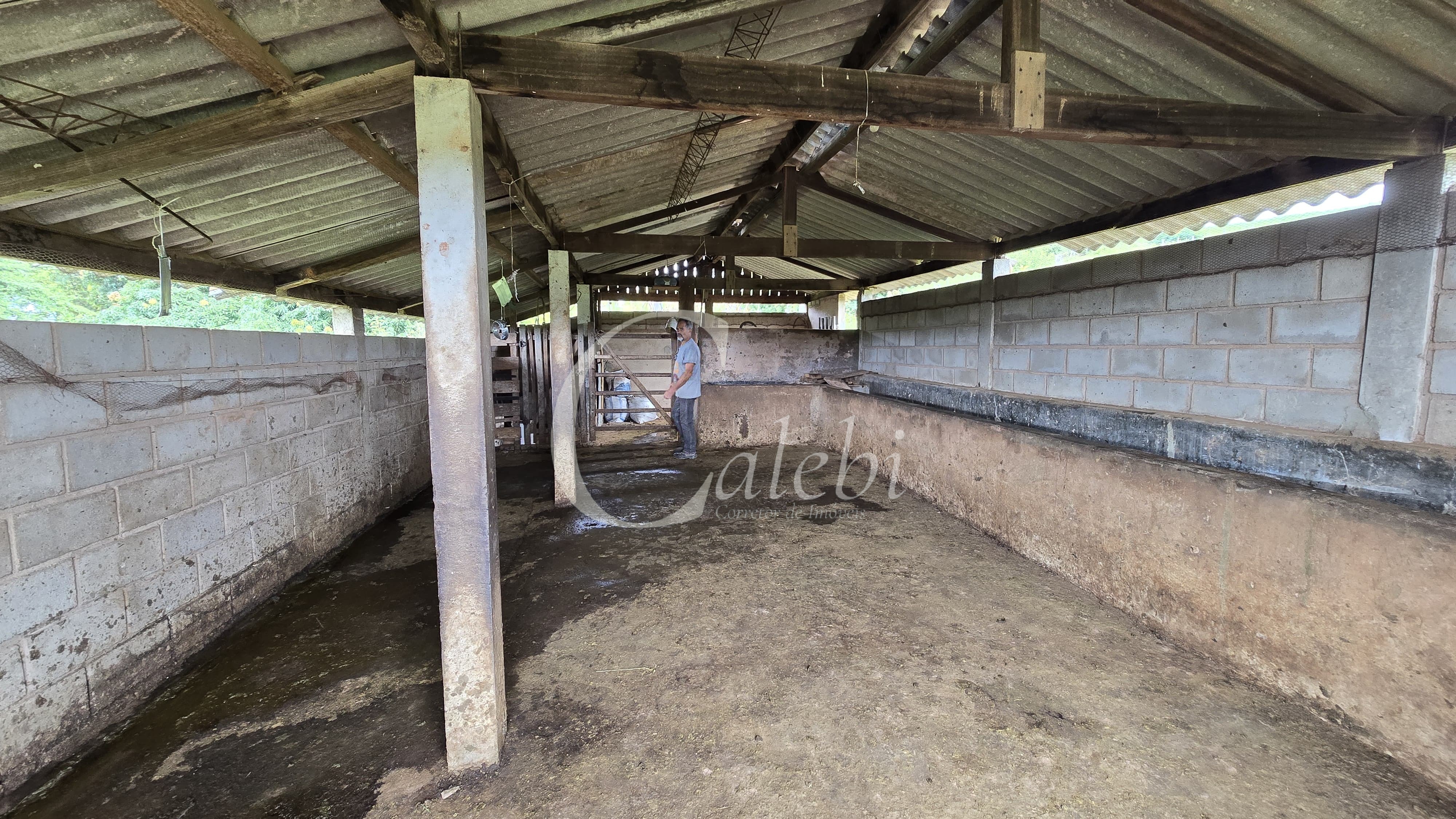 Sítio, 3 quartos, 4 hectares - Foto 29