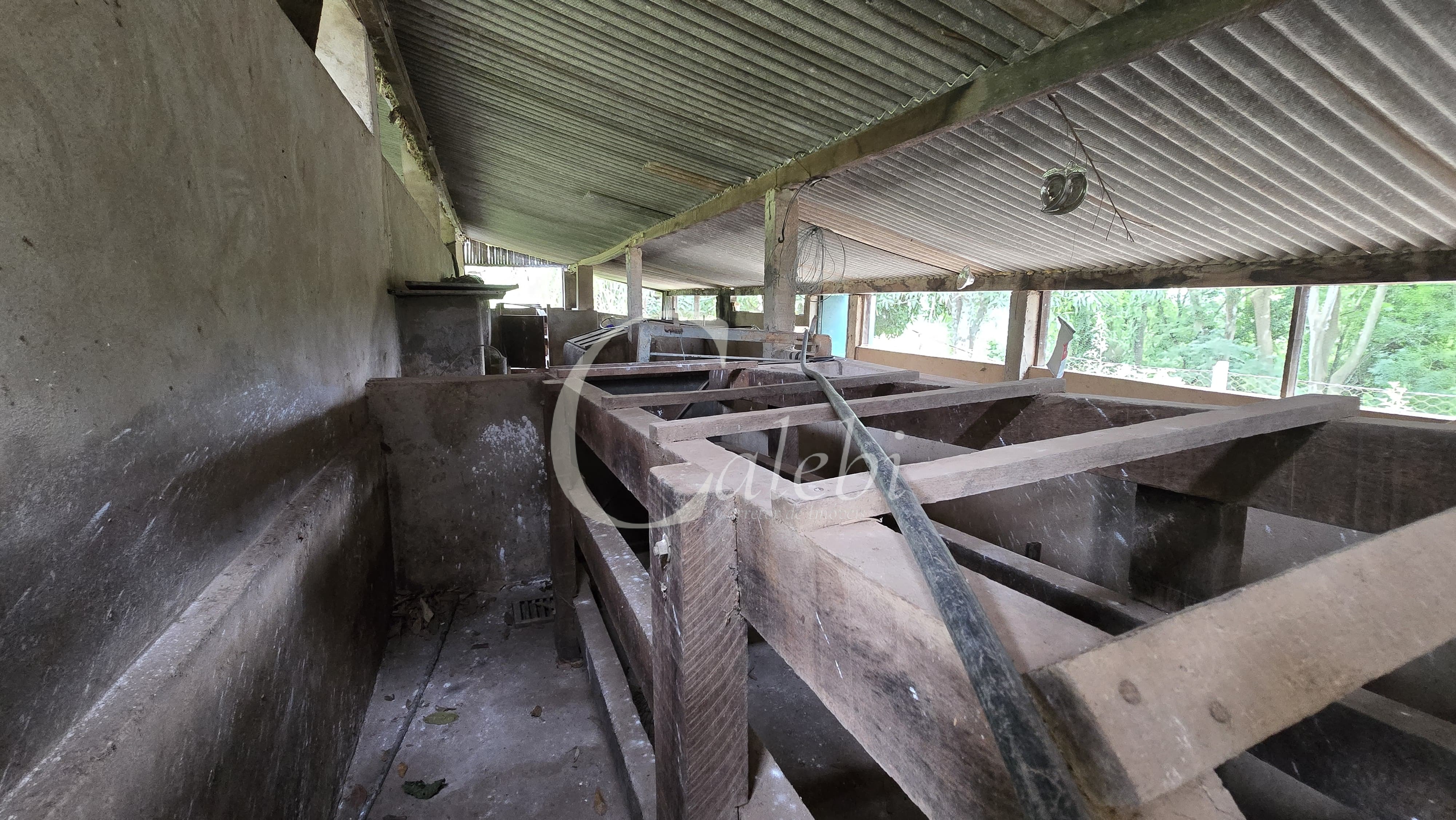 Sítio, 3 quartos, 4 hectares - Foto 31