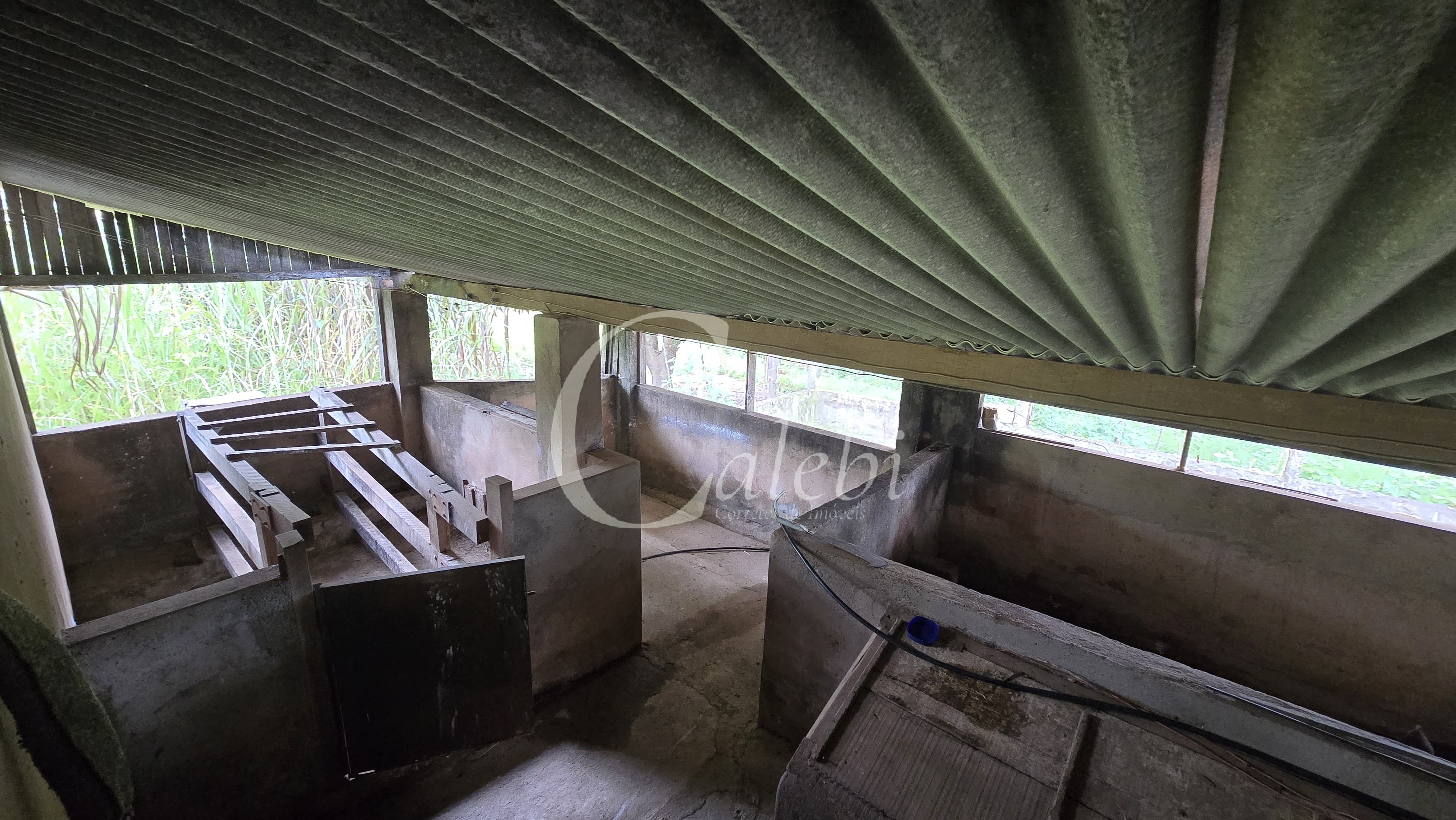 Sítio, 3 quartos, 4 hectares - Foto 33