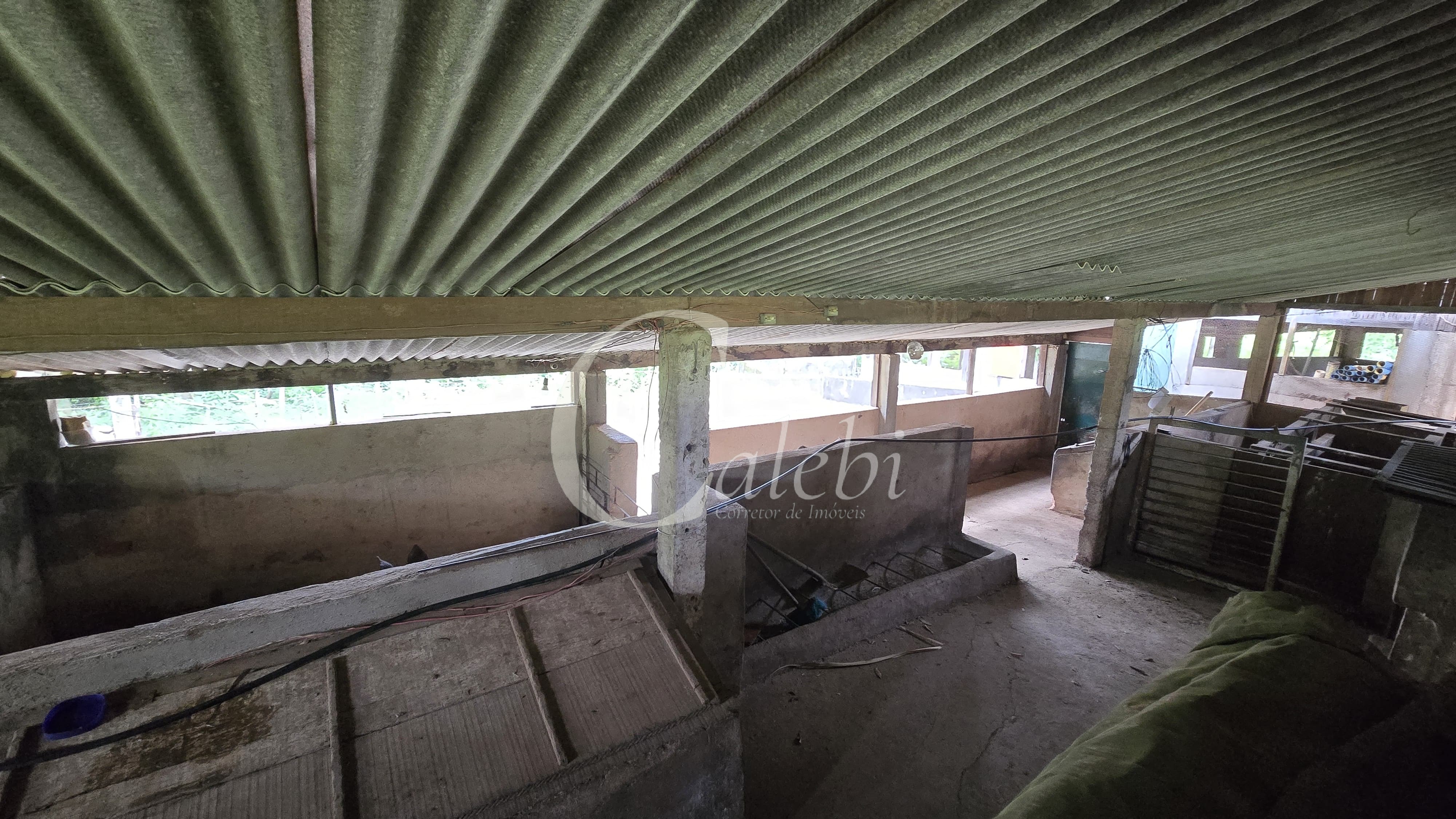 Sítio, 3 quartos, 4 hectares - Foto 34