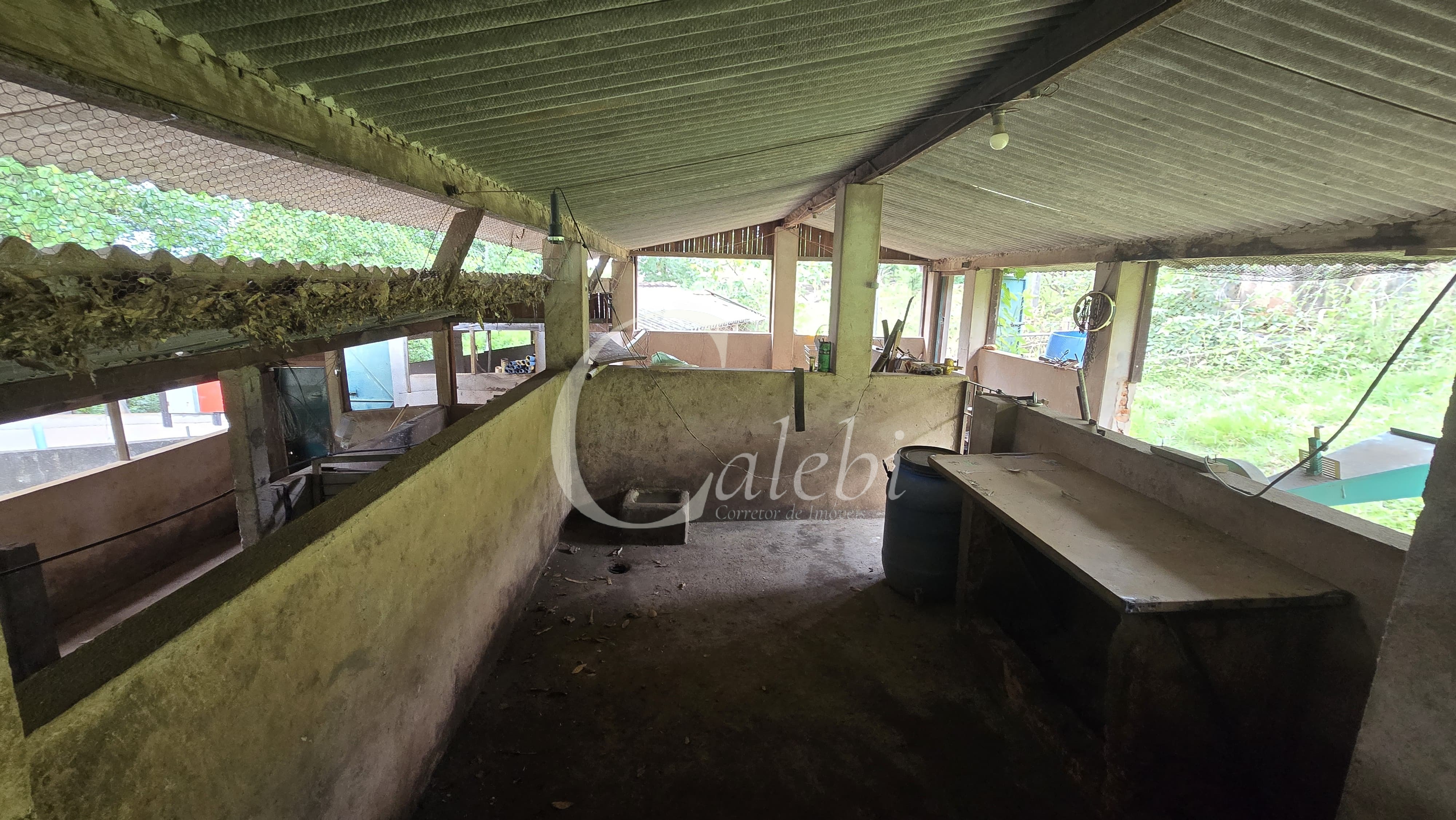 Sítio, 3 quartos, 4 hectares - Foto 36