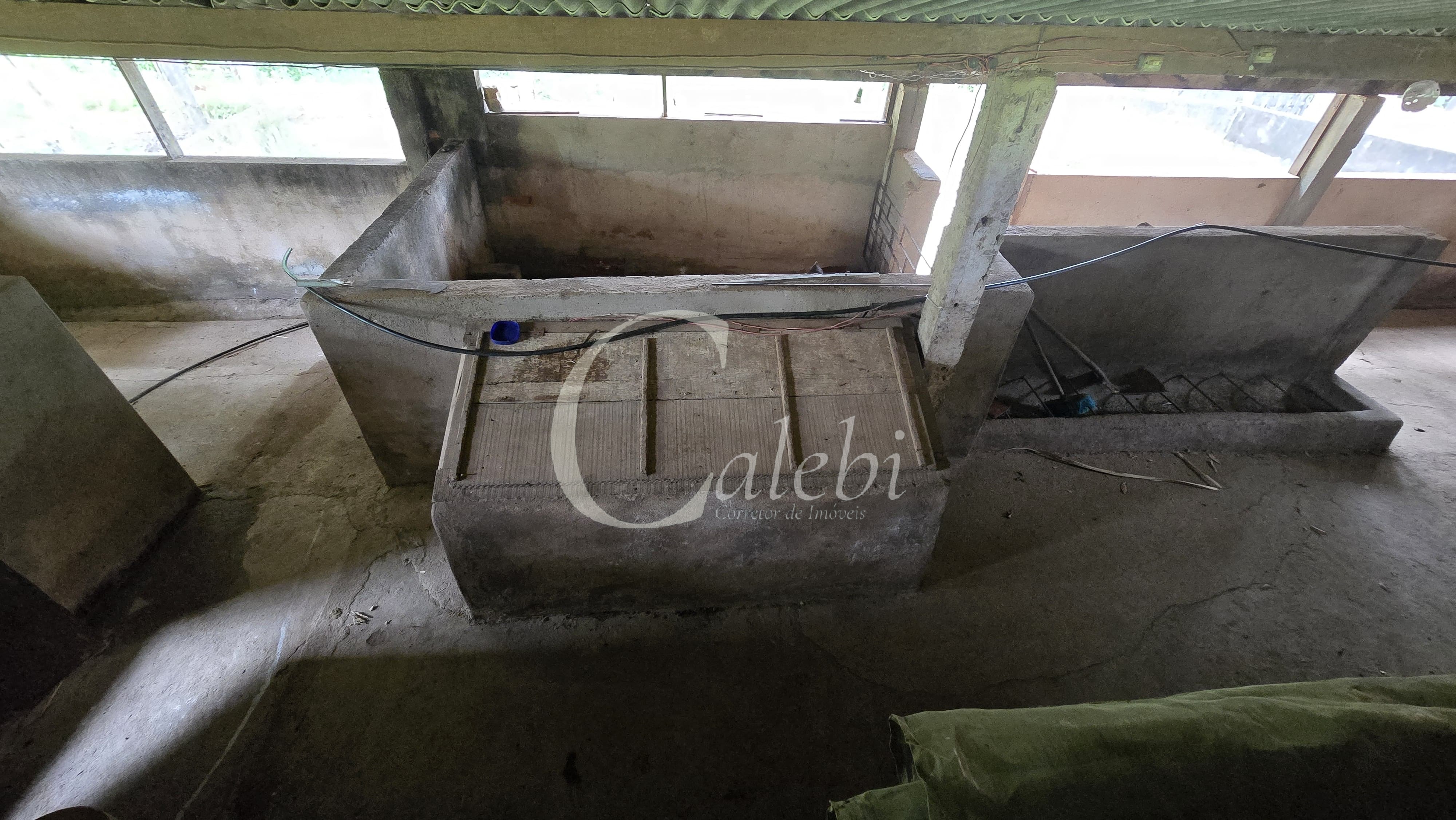 Sítio, 3 quartos, 4 hectares - Foto 37