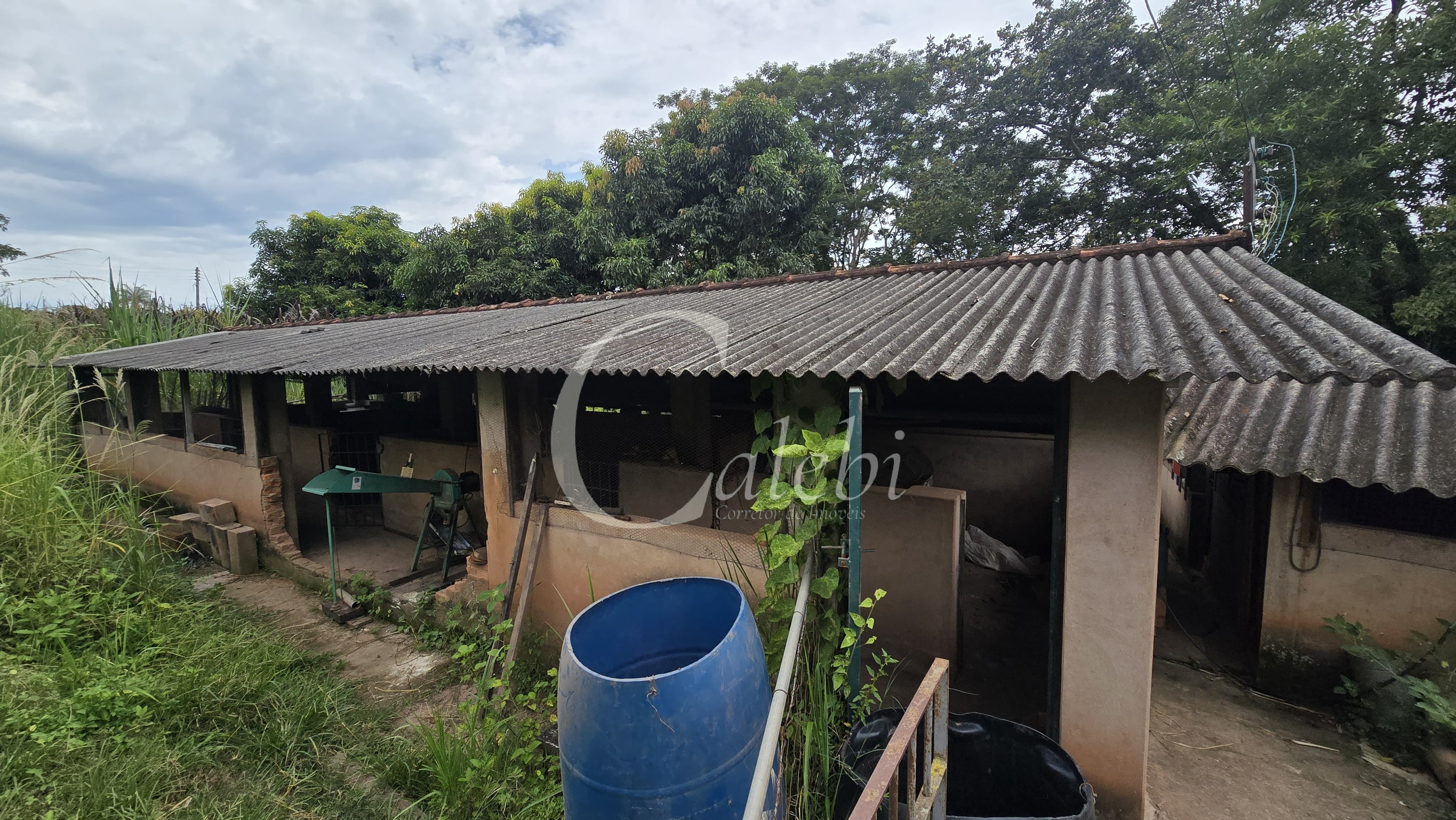 Sítio, 3 quartos, 4 hectares - Foto 39