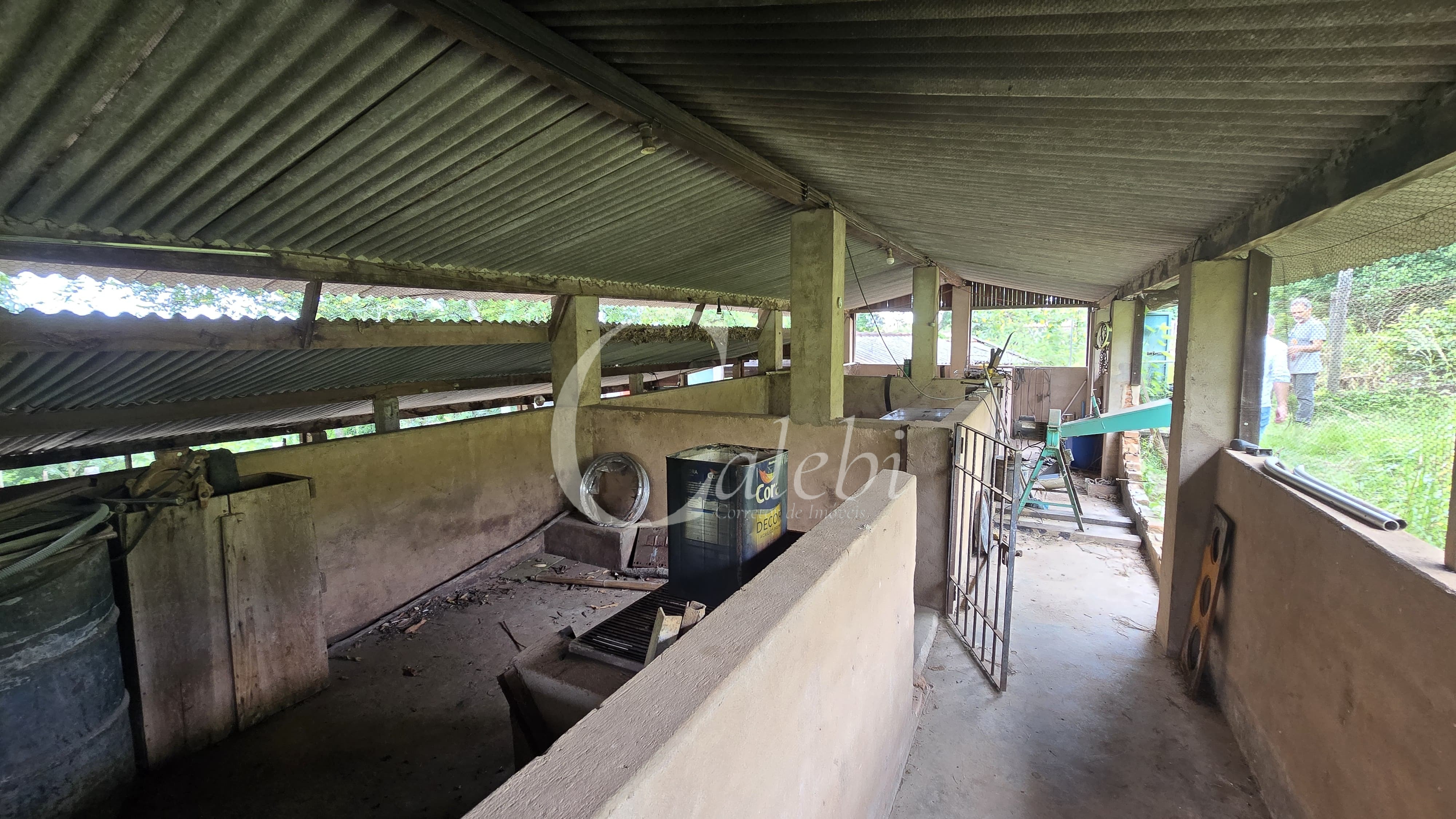 Sítio, 3 quartos, 4 hectares - Foto 38