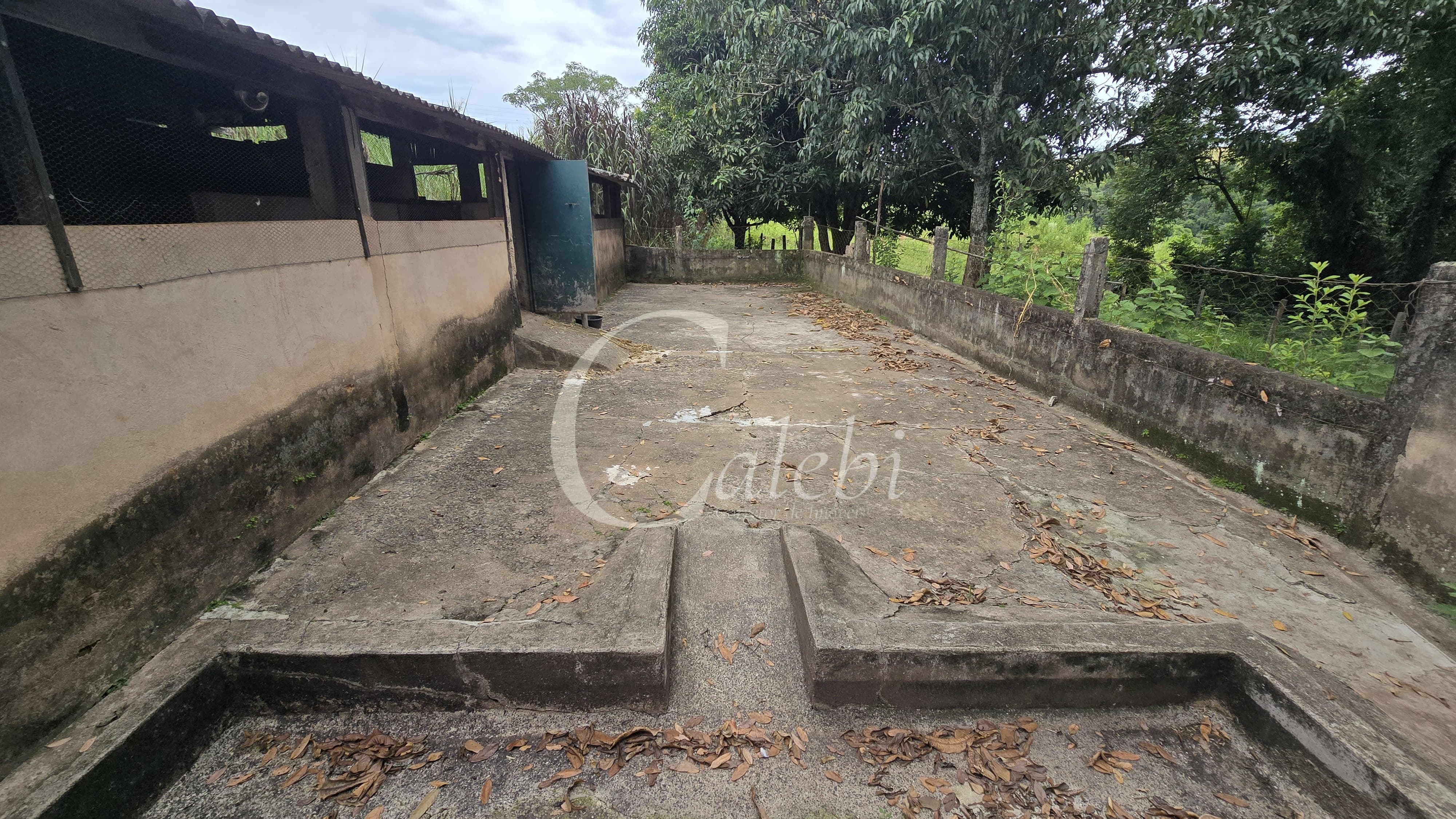 Sítio, 3 quartos, 4 hectares - Foto 41