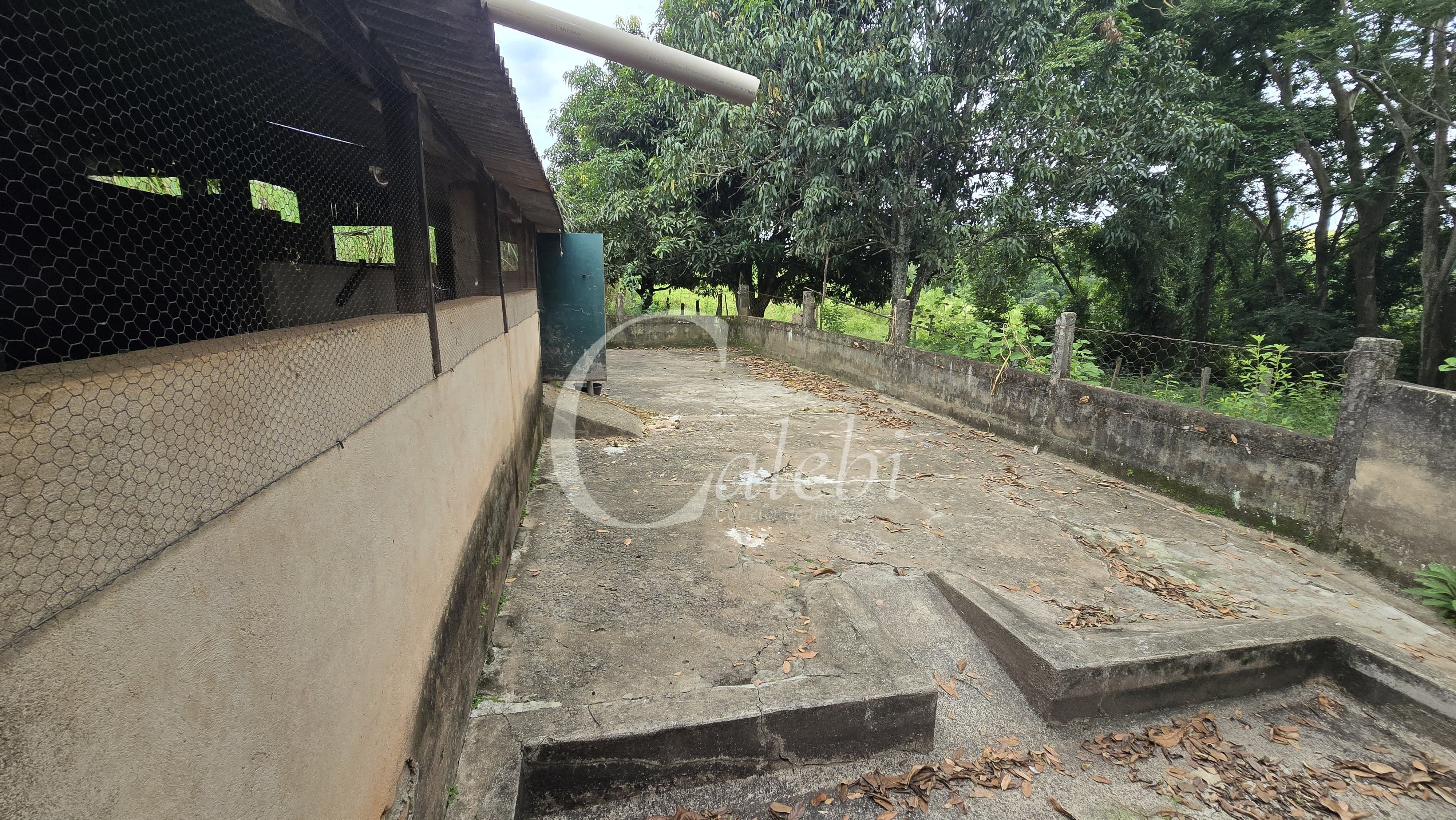 Sítio, 3 quartos, 4 hectares - Foto 42