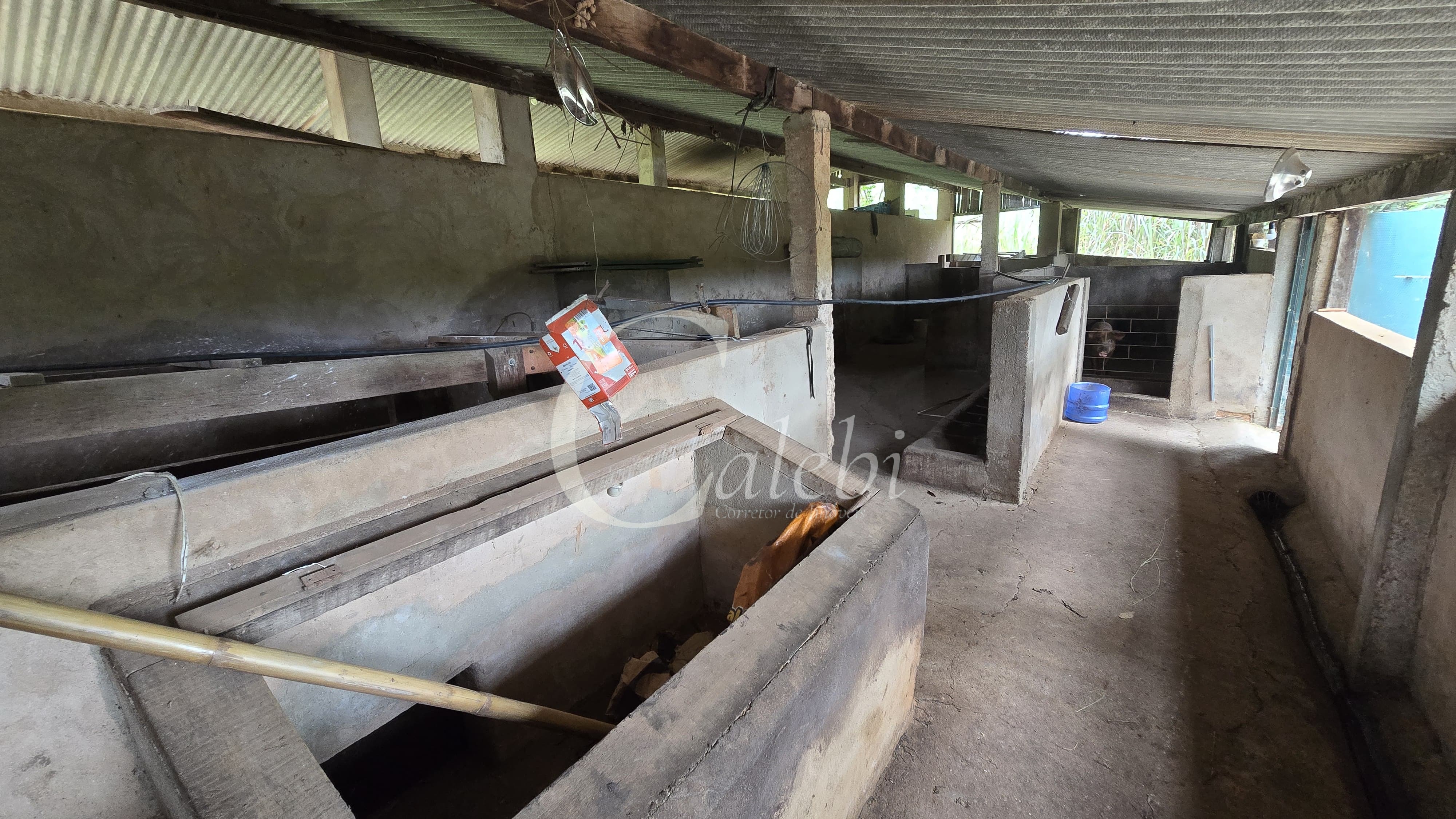 Sítio, 3 quartos, 4 hectares - Foto 43