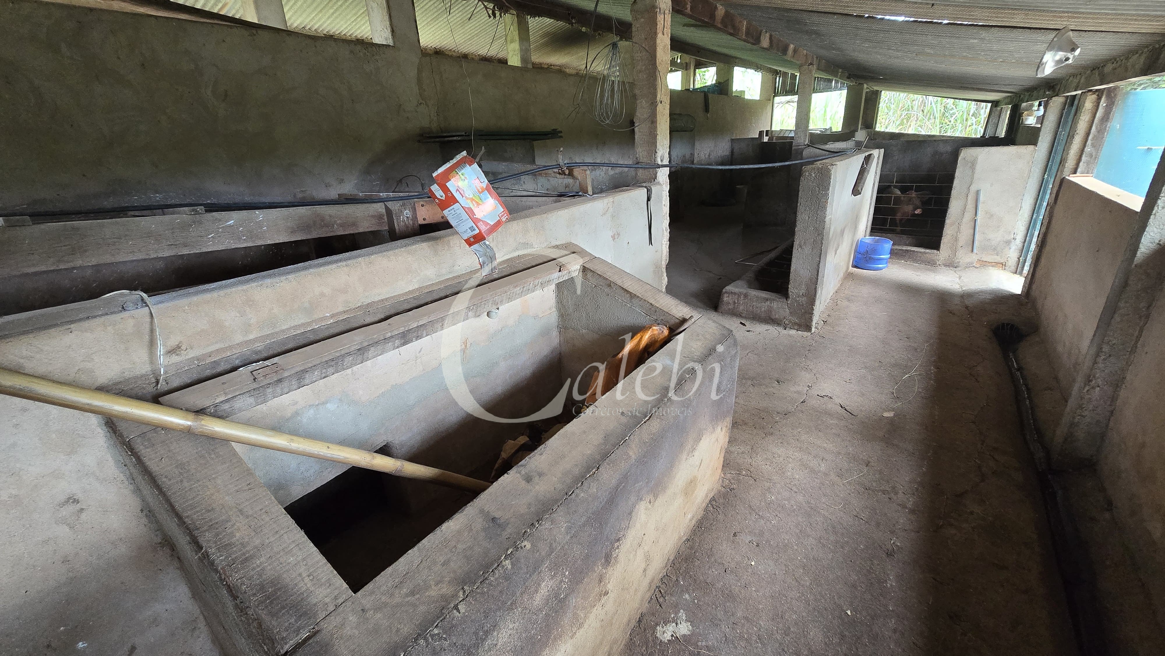 Sítio, 3 quartos, 4 hectares - Foto 44