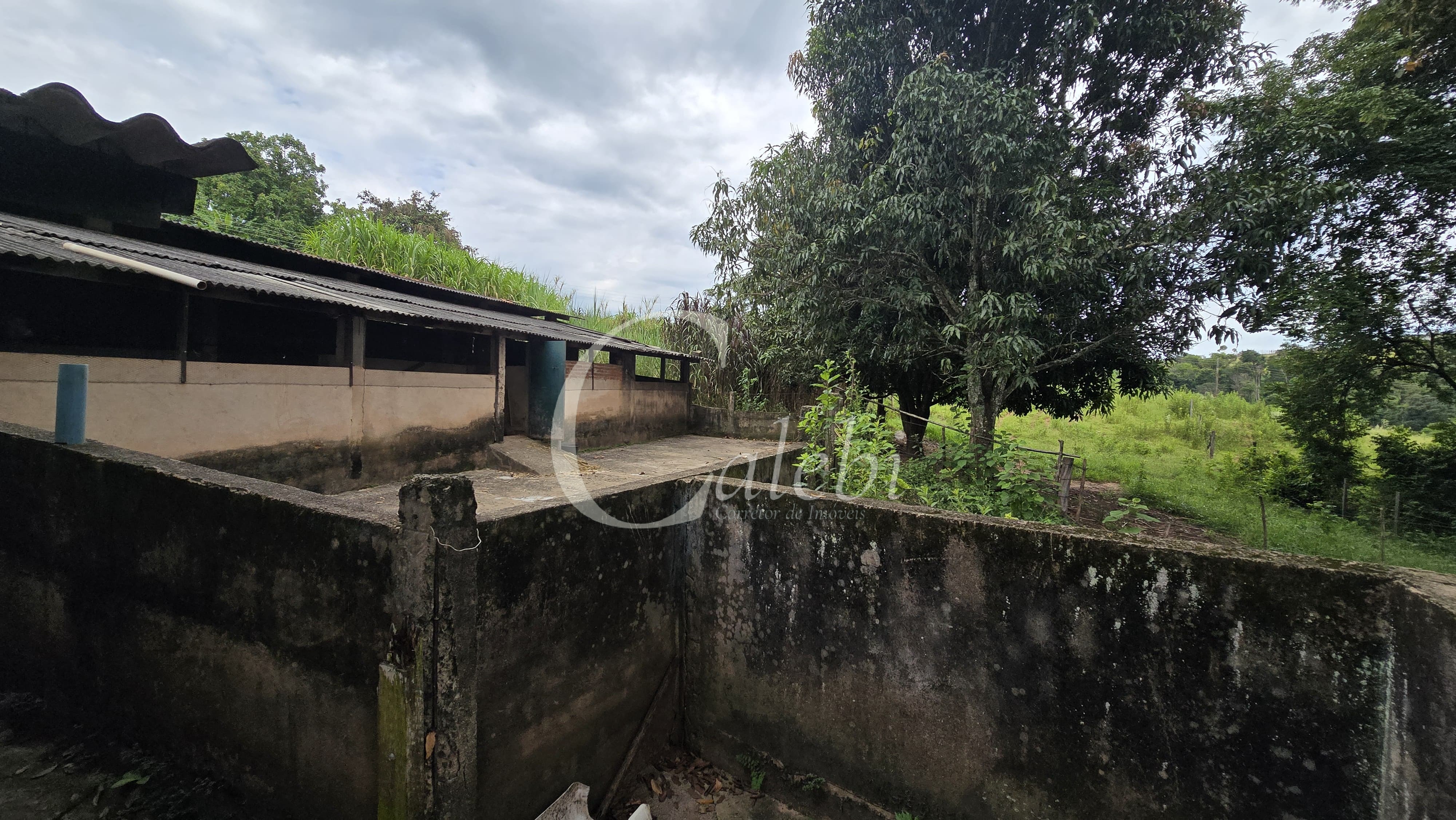 Sítio, 3 quartos, 4 hectares - Foto 46