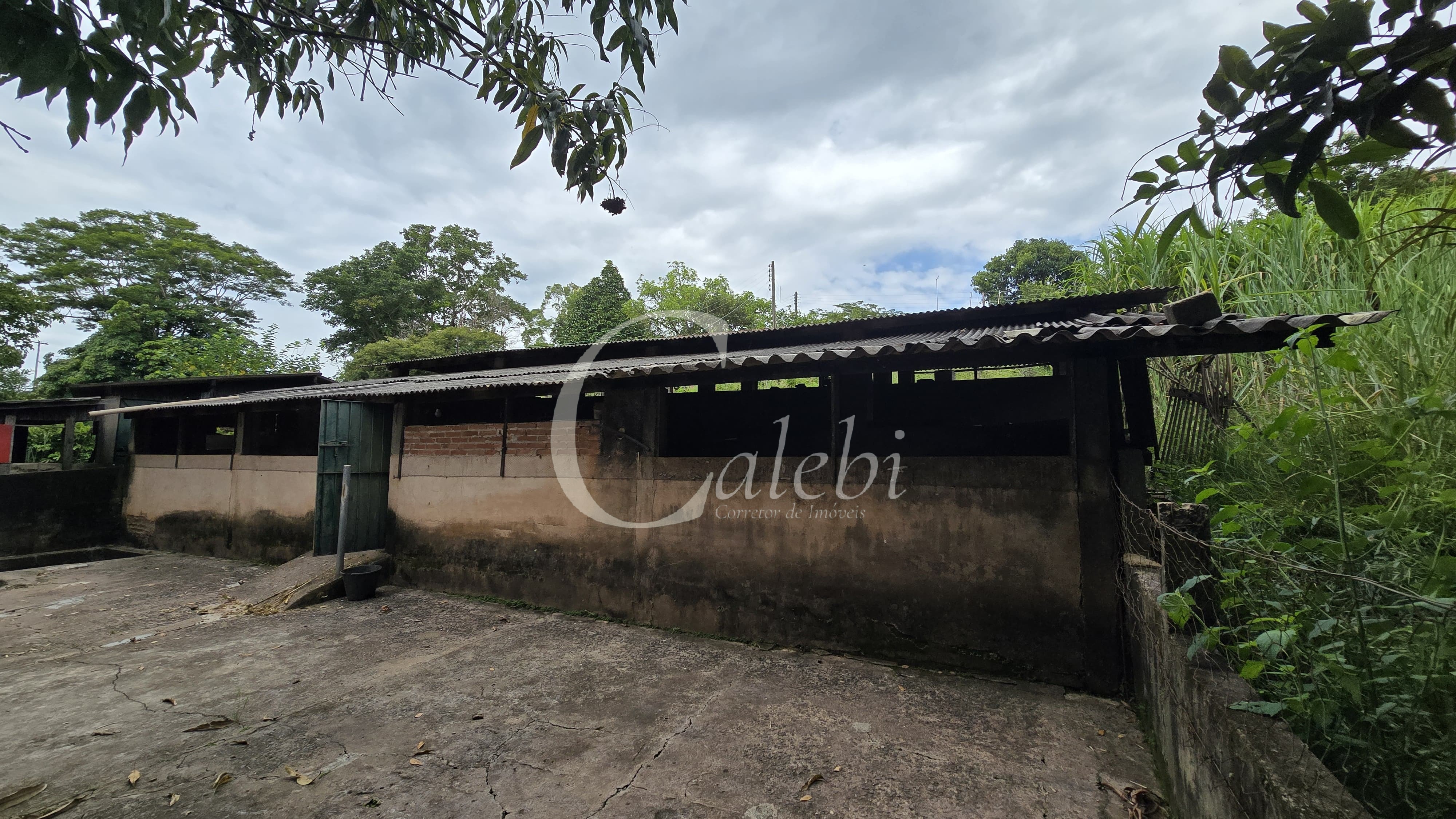 Sítio, 3 quartos, 4 hectares - Foto 47