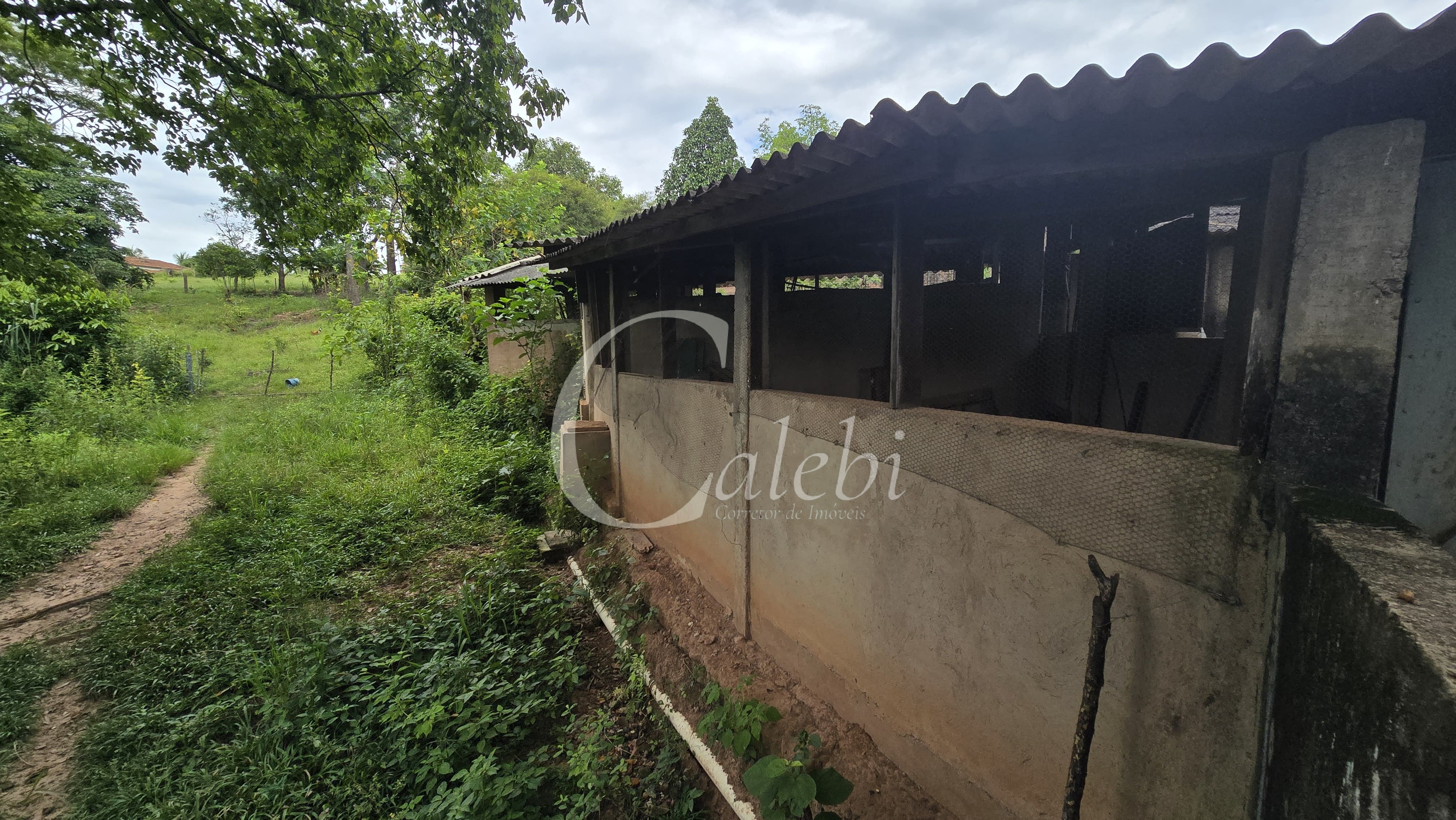 Sítio, 3 quartos, 4 hectares - Foto 48