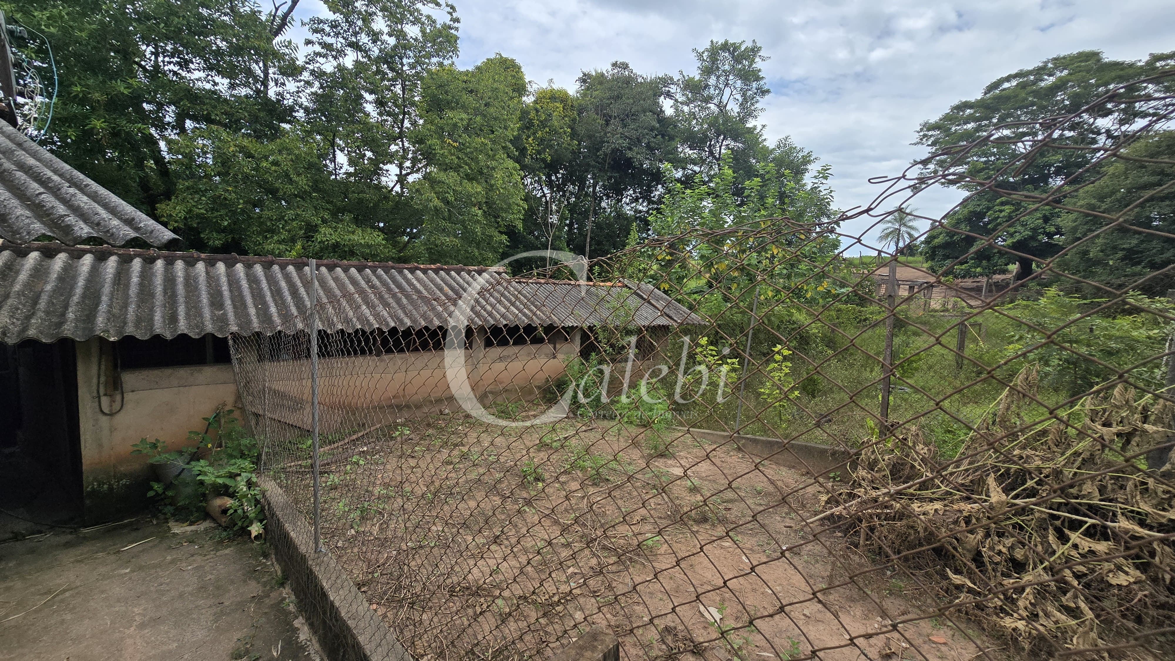 Sítio, 3 quartos, 4 hectares - Foto 49