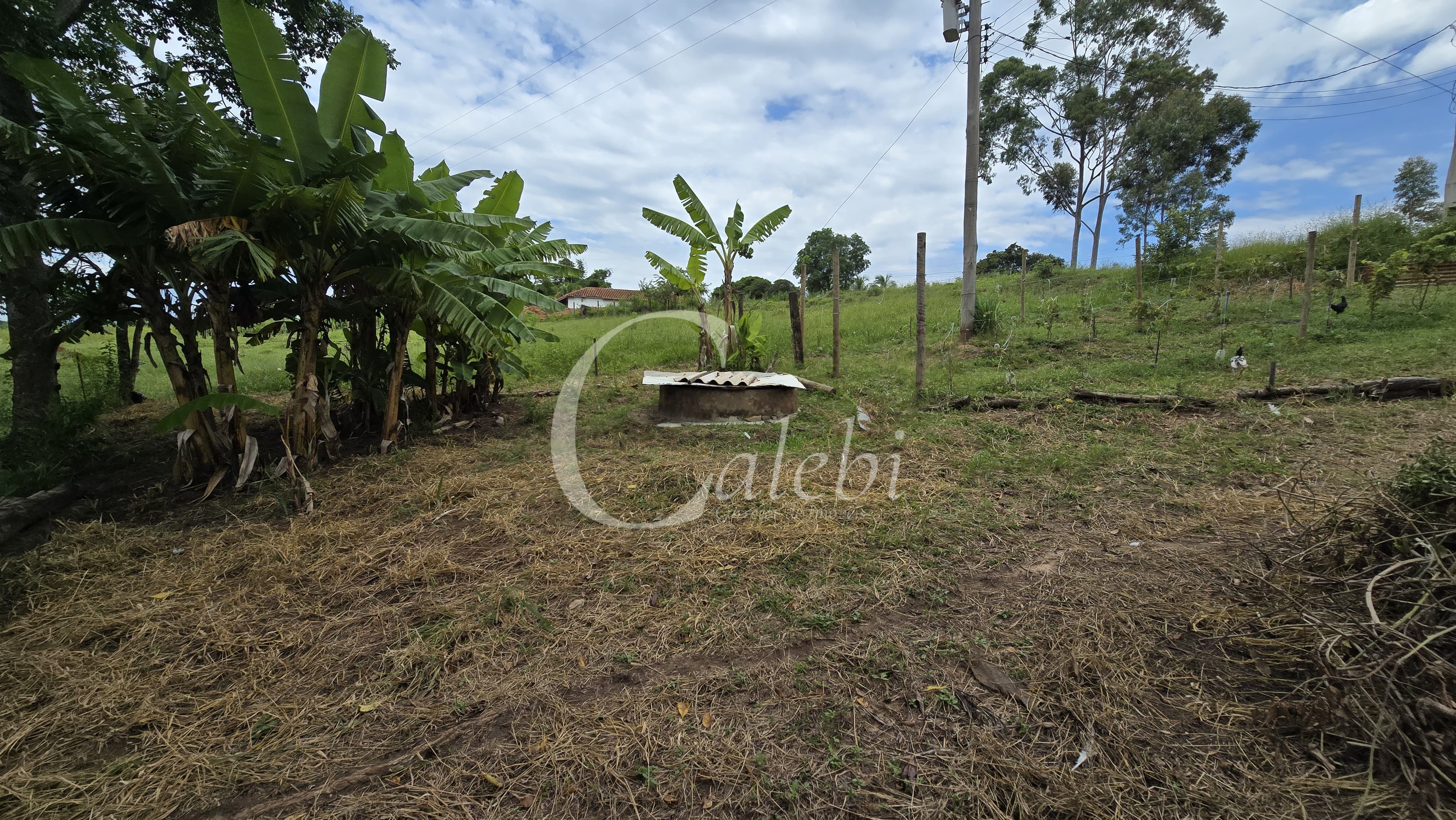 Sítio, 3 quartos, 4 hectares - Foto 52