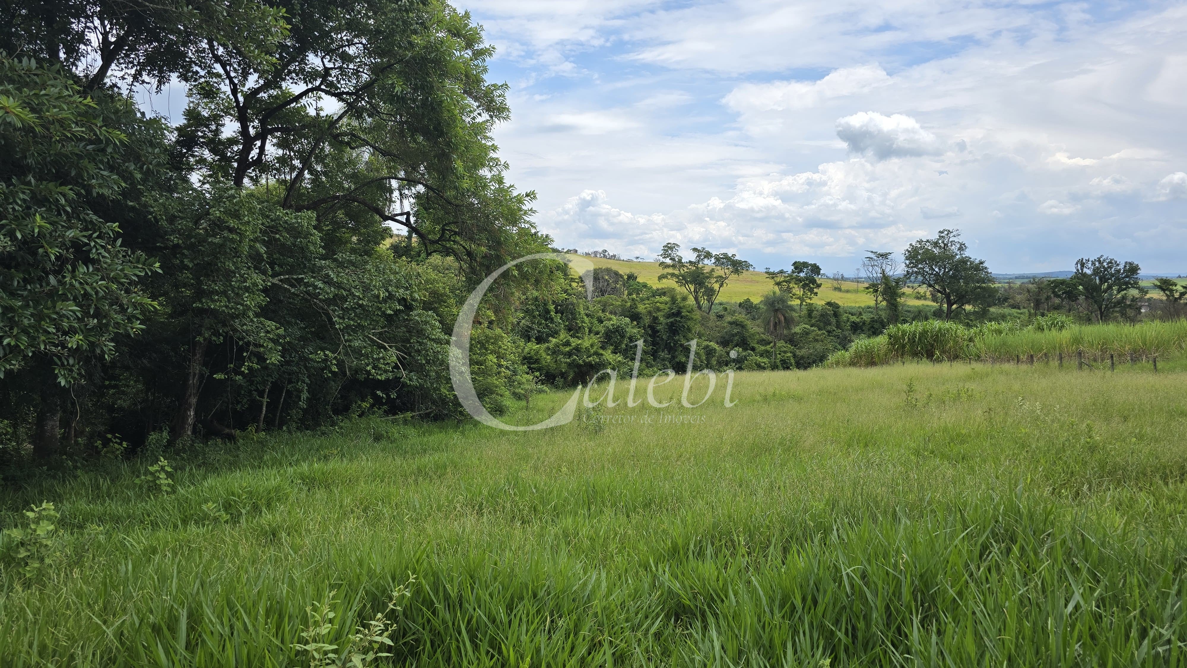 Sítio, 3 quartos, 4 hectares - Foto 53