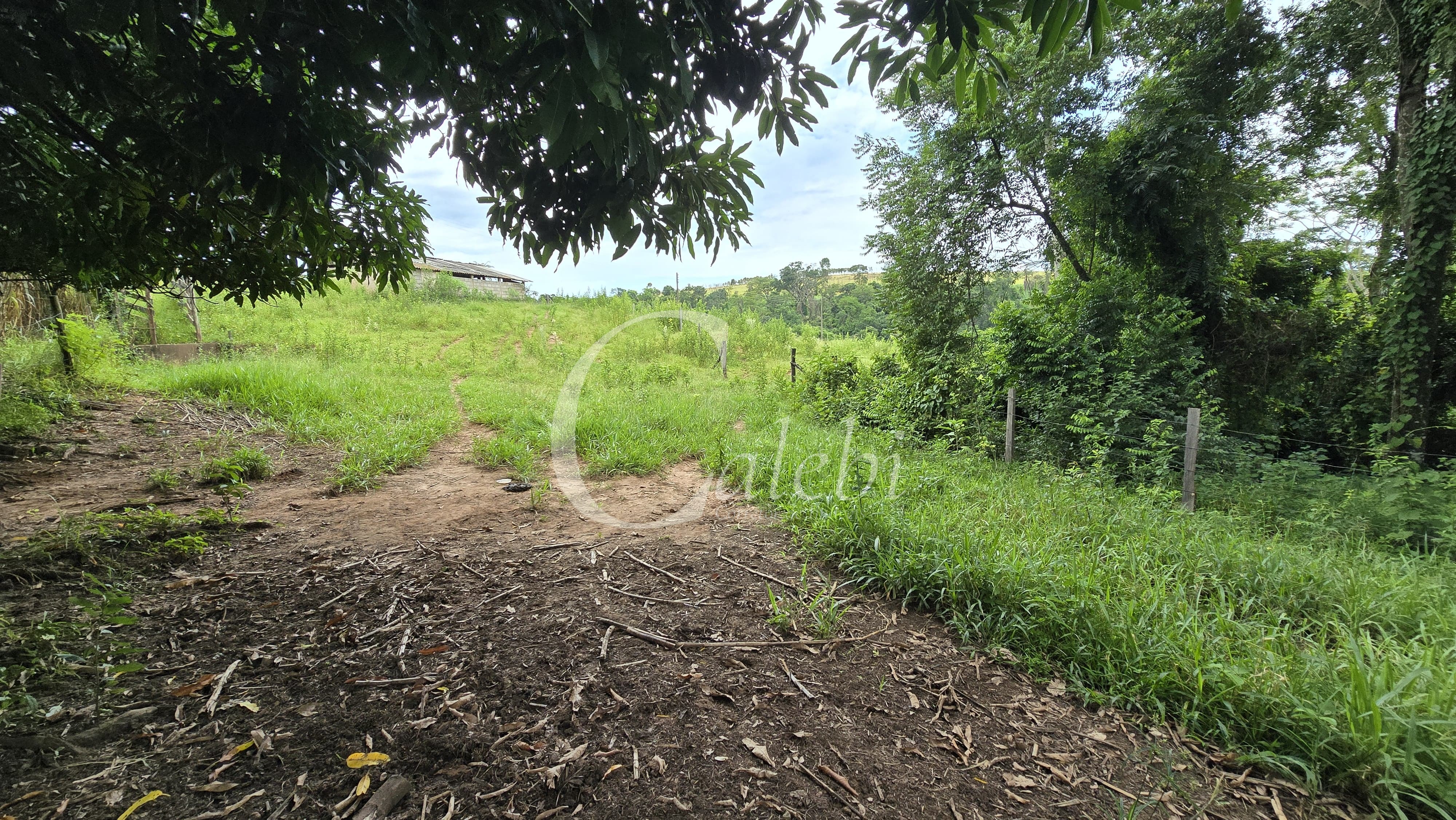 Sítio, 3 quartos, 4 hectares - Foto 54