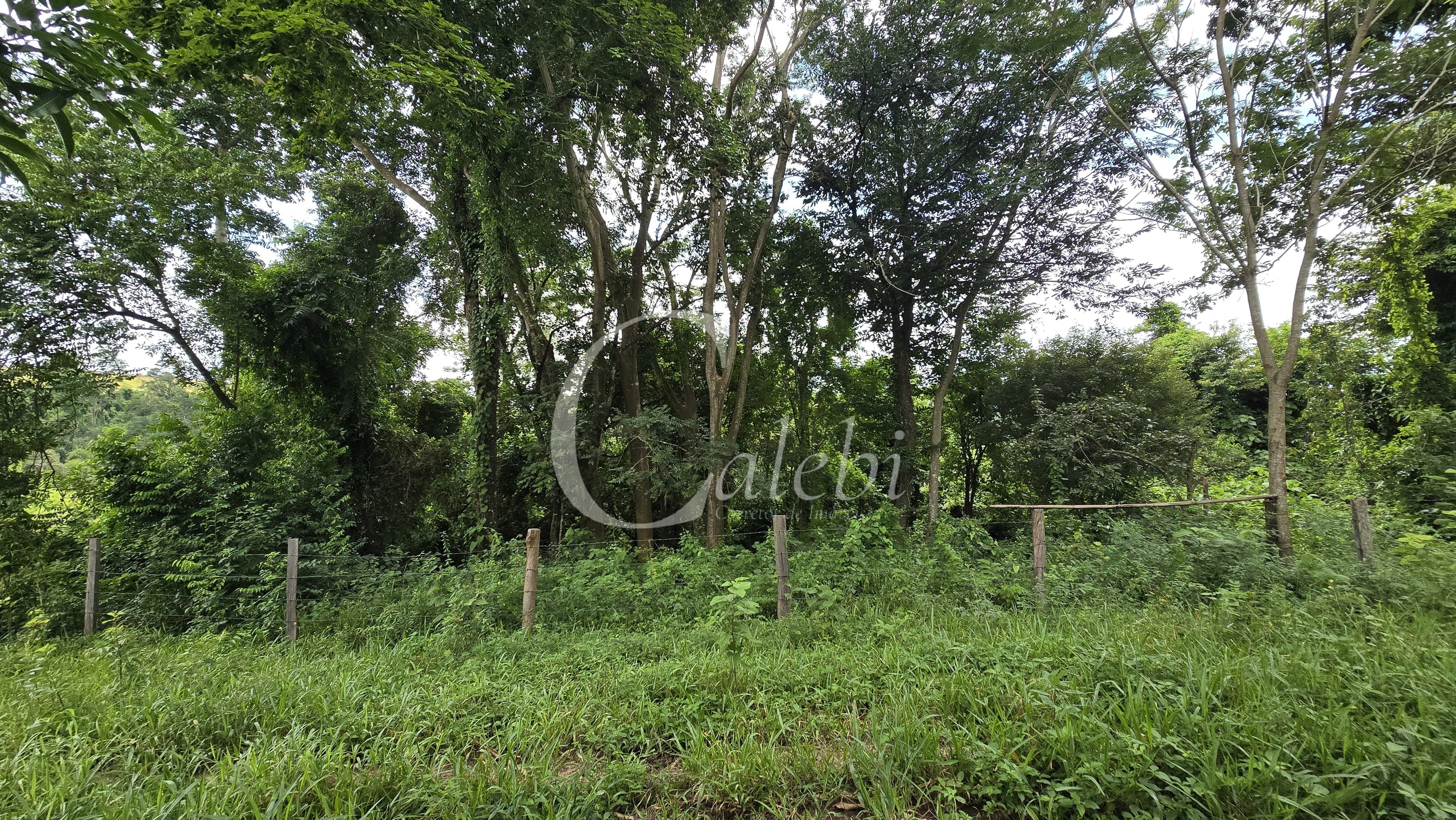 Sítio, 3 quartos, 4 hectares - Foto 55