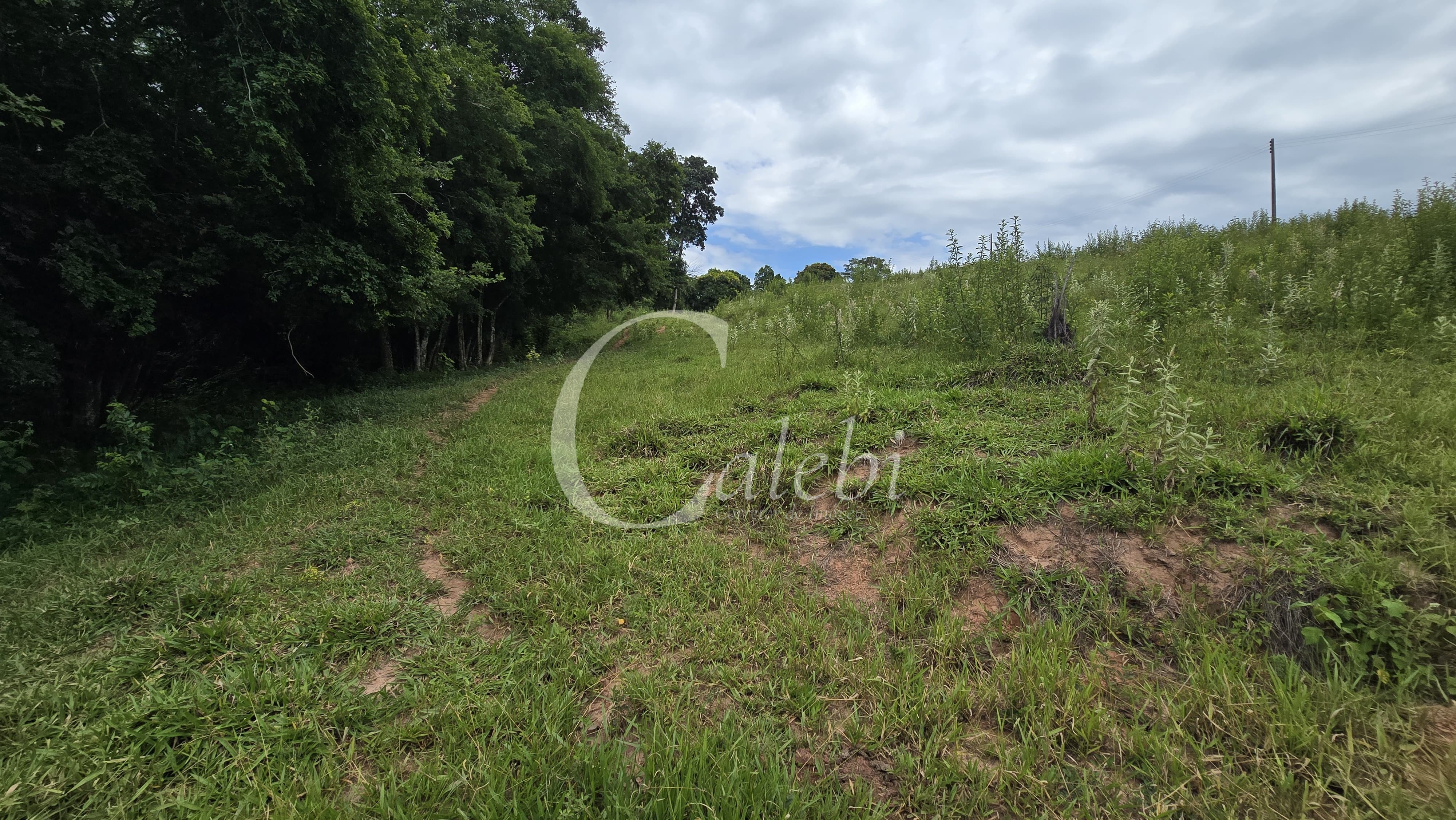 Sítio, 3 quartos, 4 hectares - Foto 56