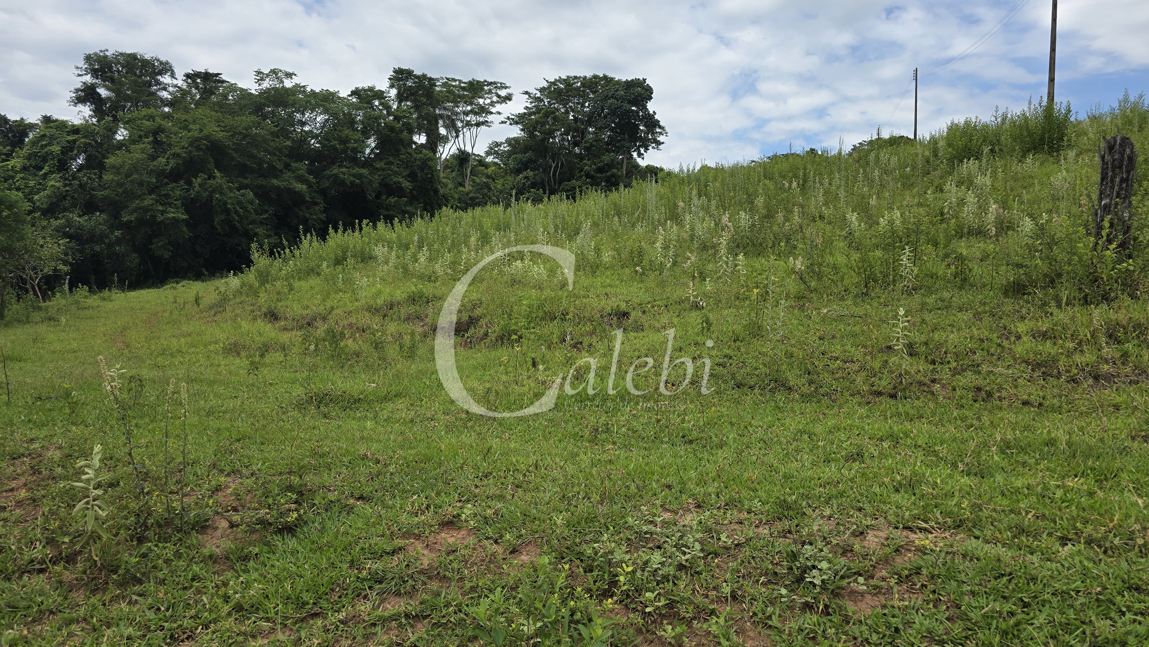 Sítio, 3 quartos, 4 hectares - Foto 57