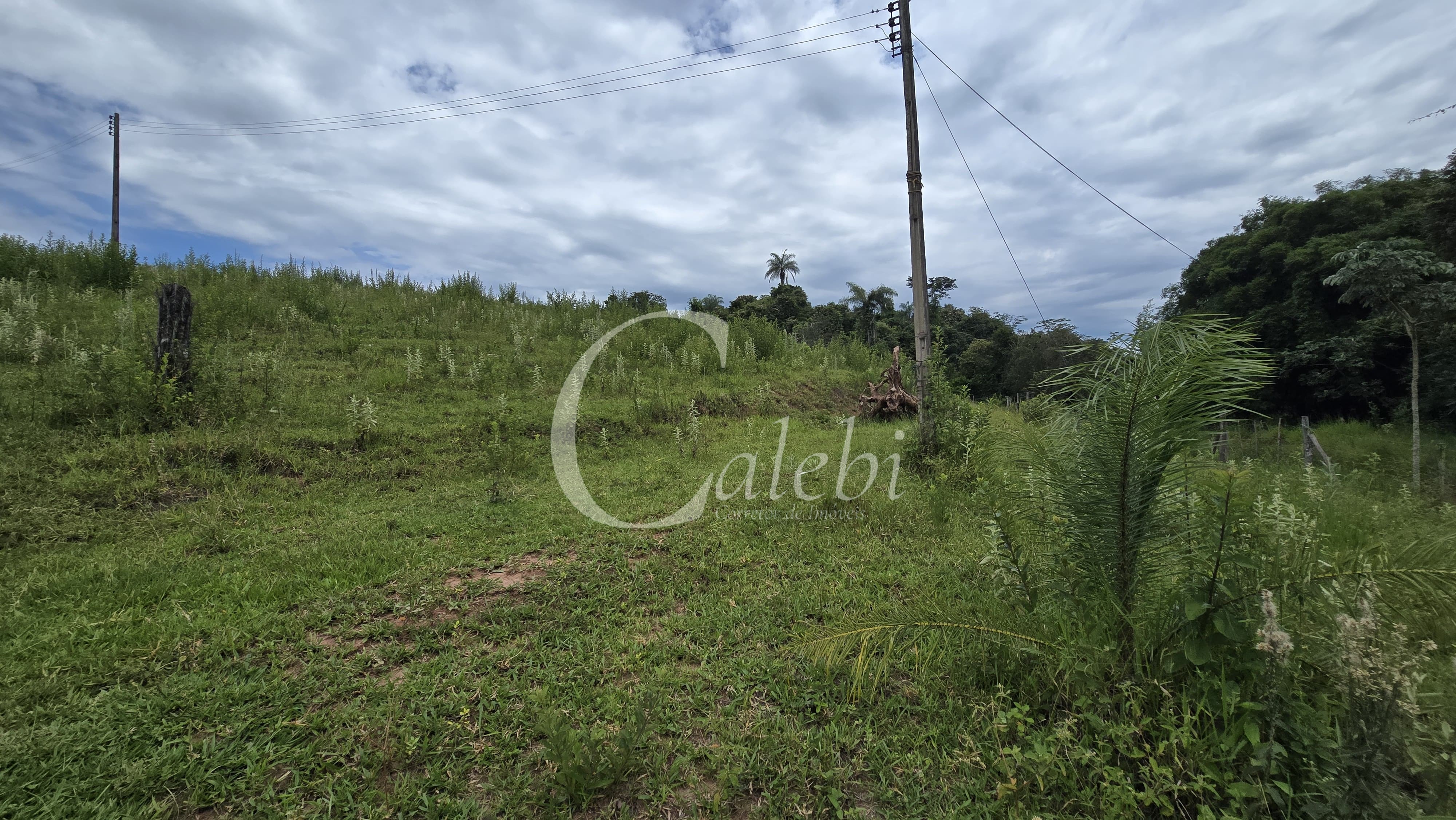 Sítio, 3 quartos, 4 hectares - Foto 58