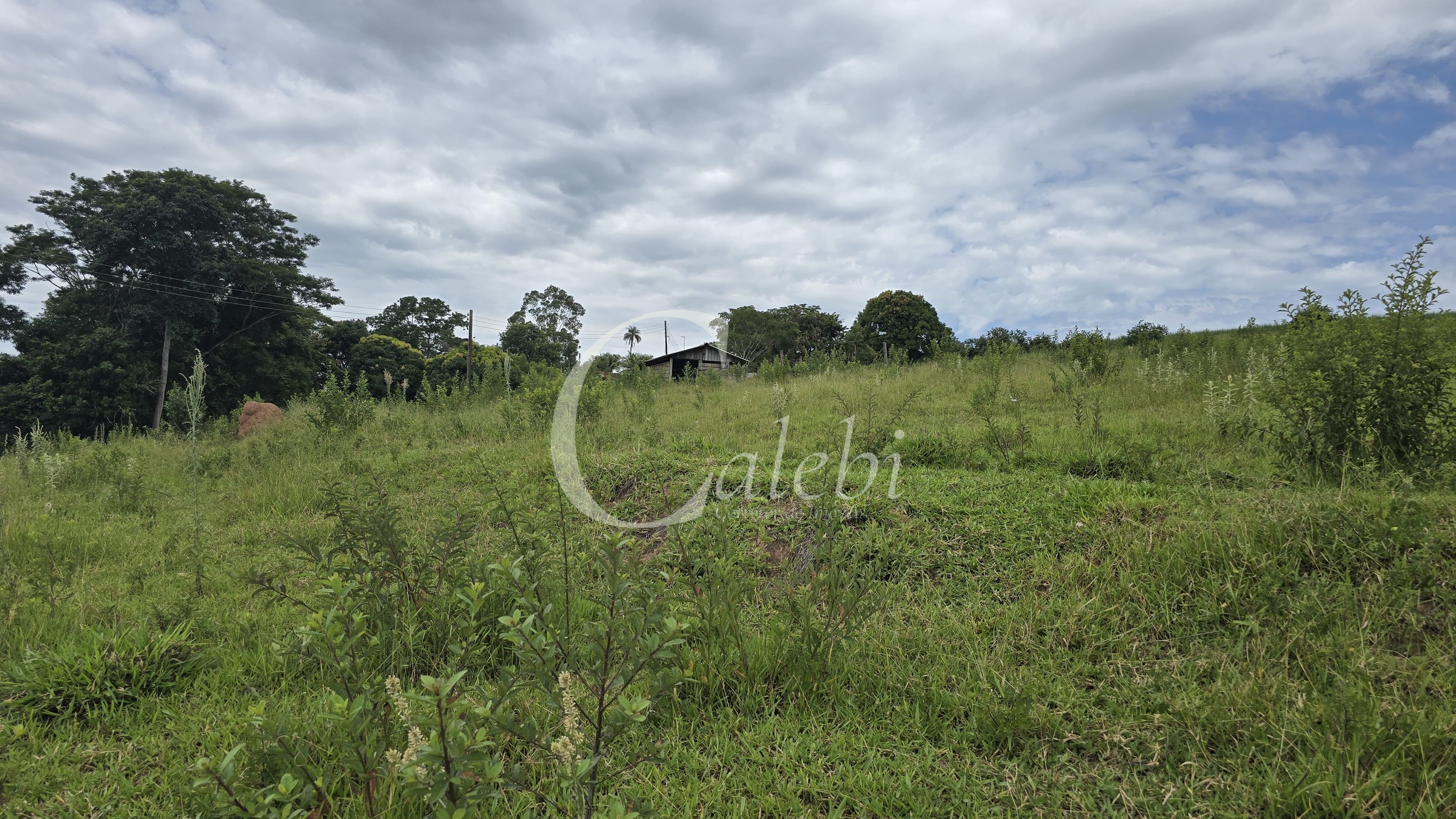 Sítio, 3 quartos, 4 hectares - Foto 60