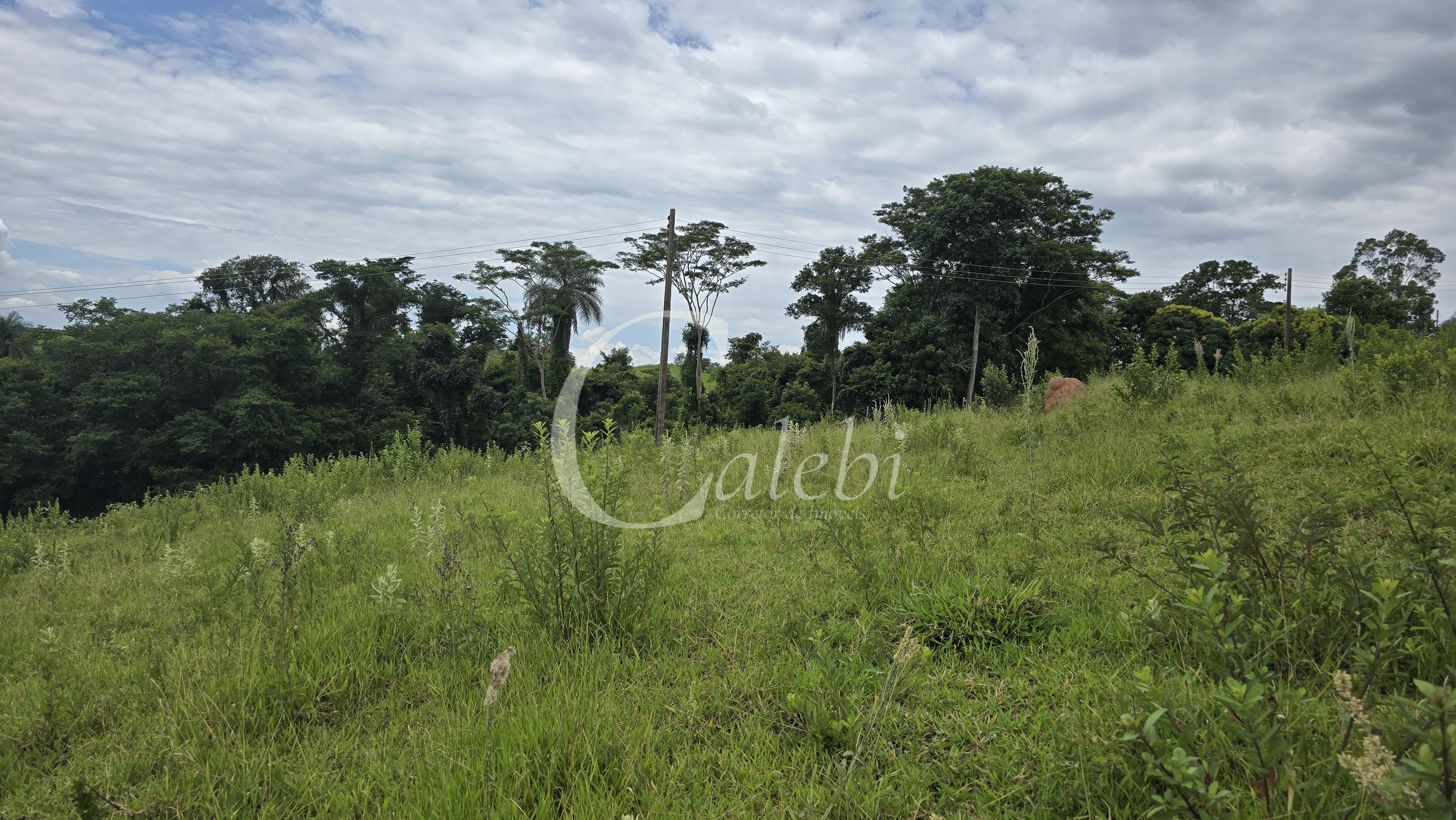 Sítio, 3 quartos, 4 hectares - Foto 59