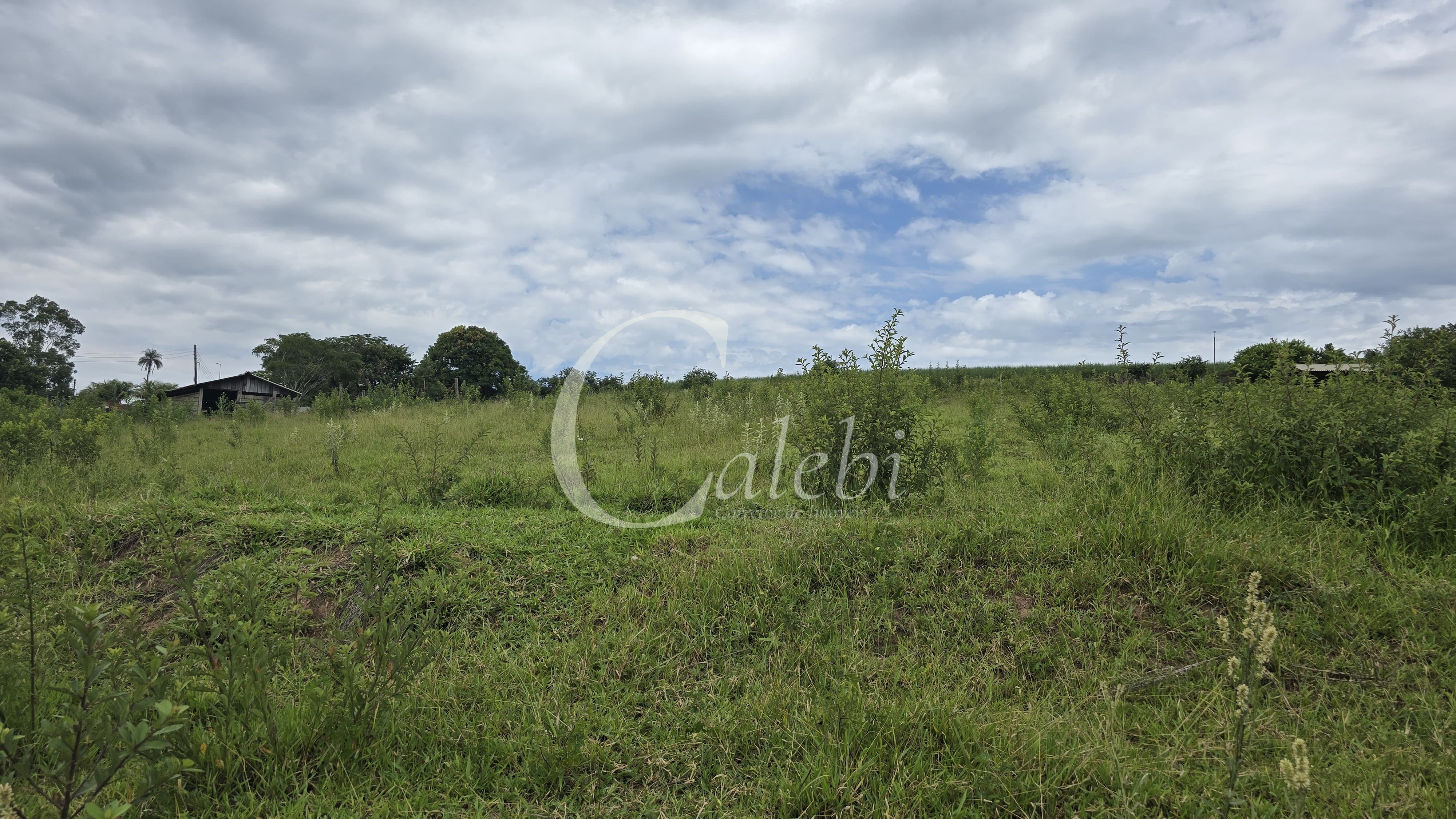 Sítio, 3 quartos, 4 hectares - Foto 61