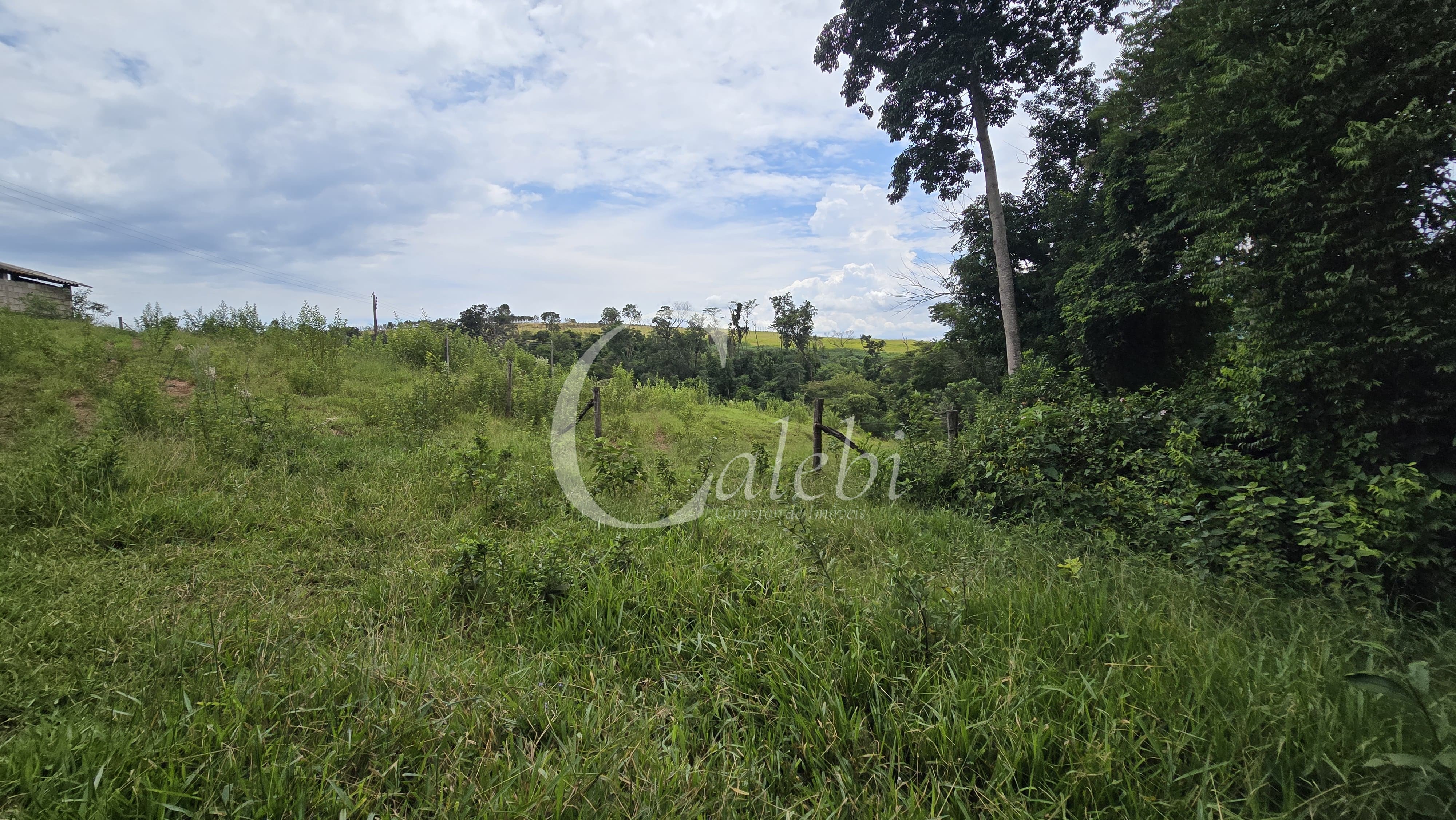 Sítio, 3 quartos, 4 hectares - Foto 62