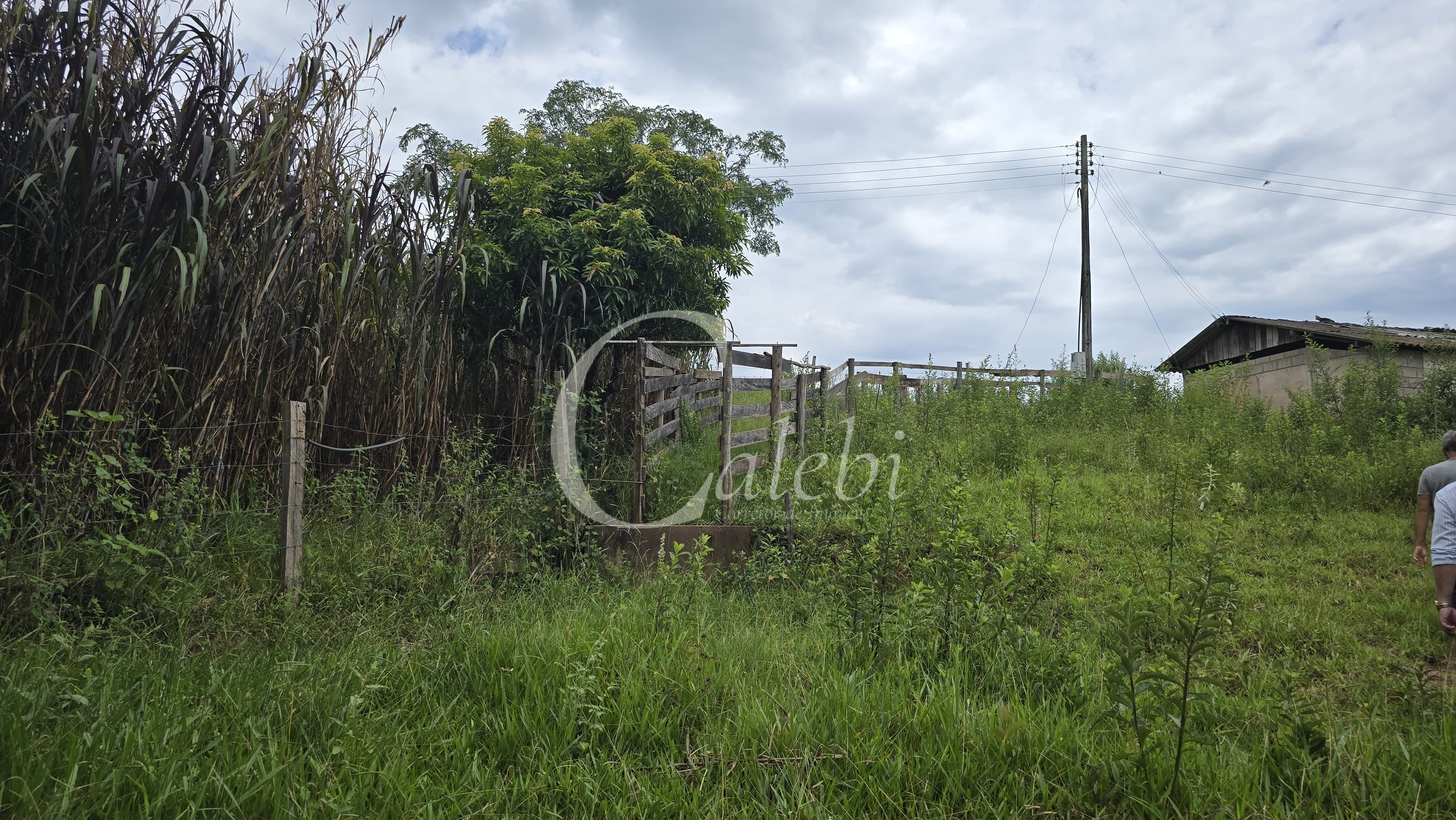 Sítio, 3 quartos, 4 hectares - Foto 63