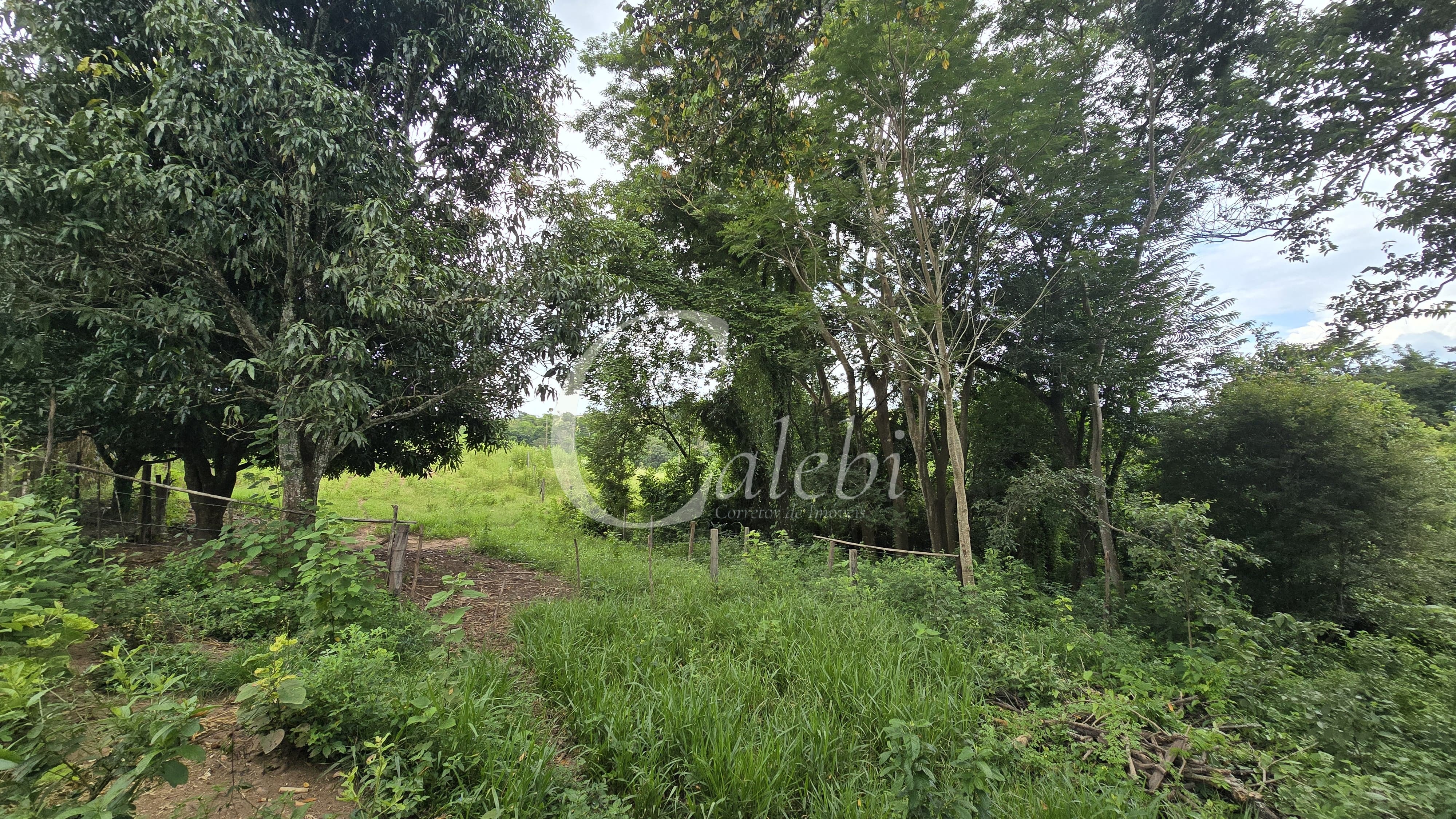 Sítio, 3 quartos, 4 hectares - Foto 64