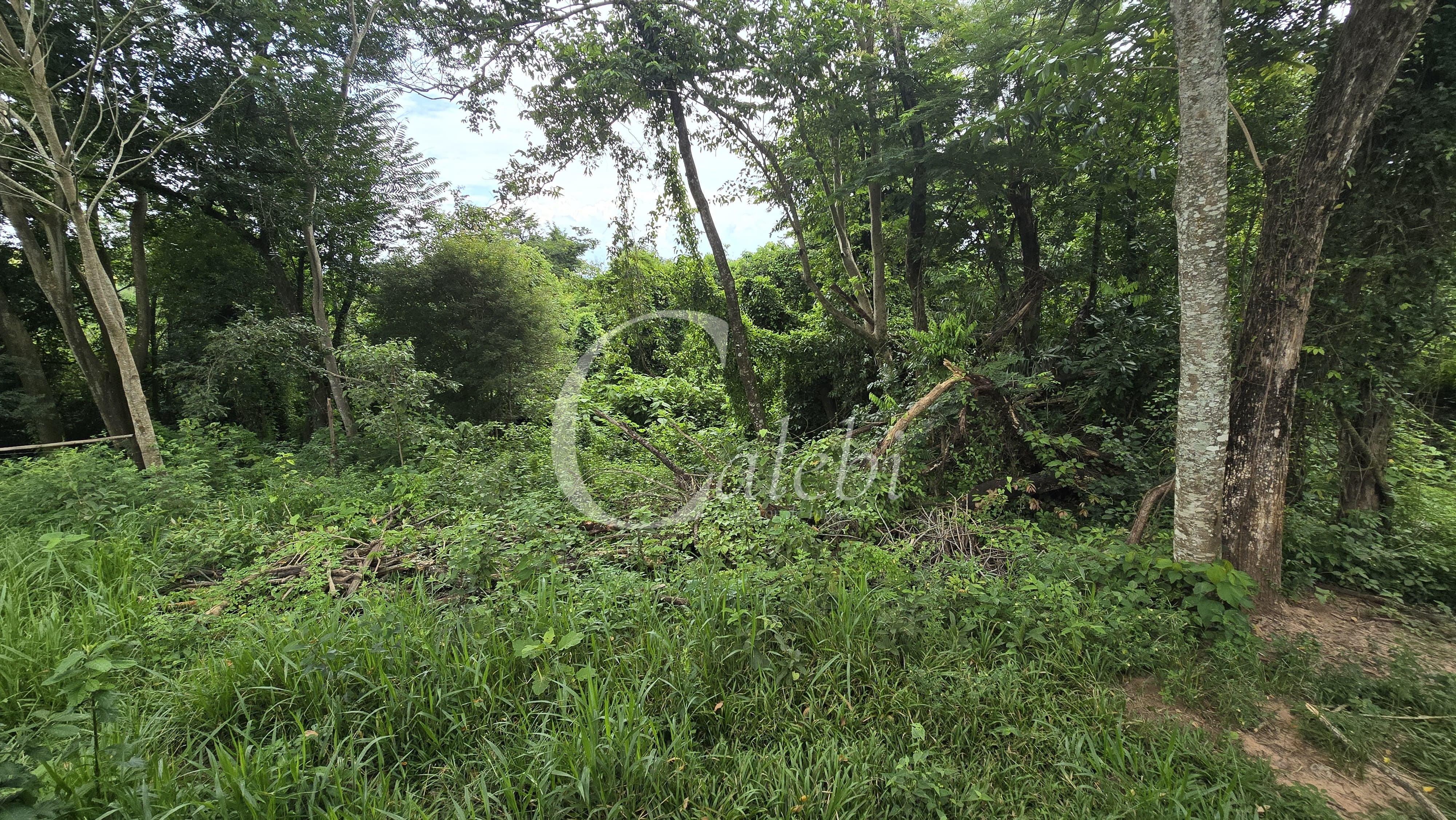 Sítio, 3 quartos, 4 hectares - Foto 65