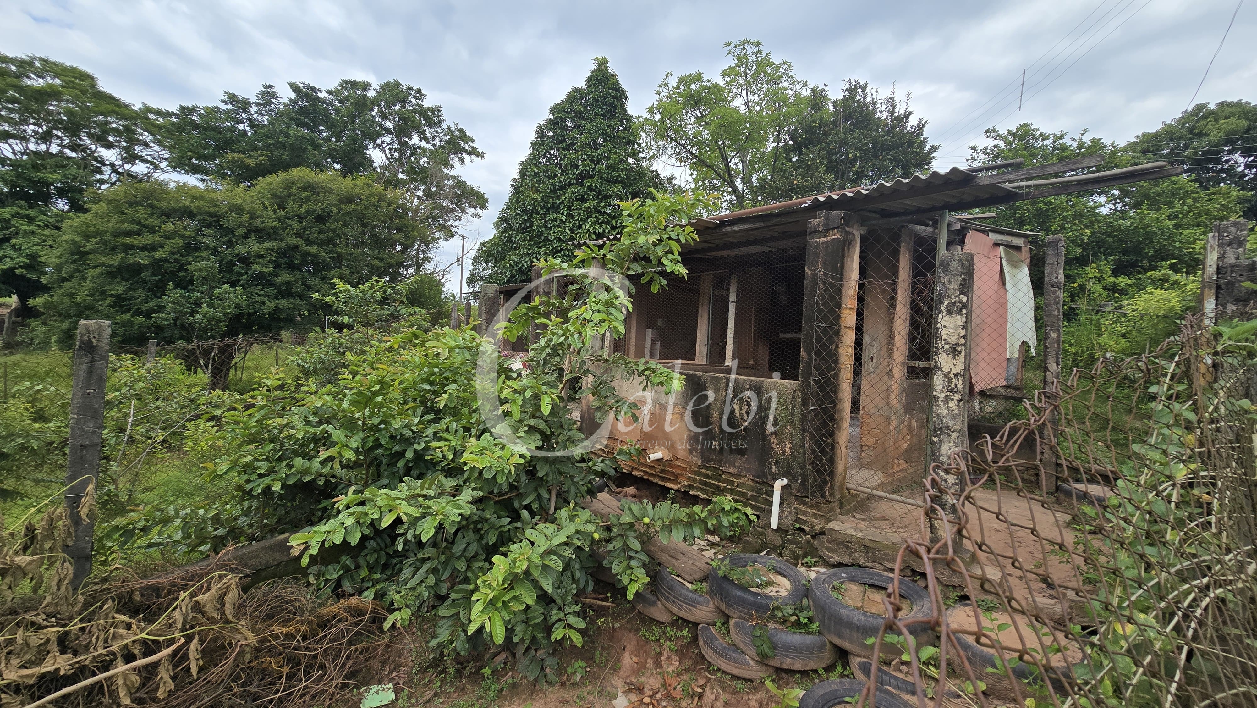 Sítio, 3 quartos, 4 hectares - Foto 66