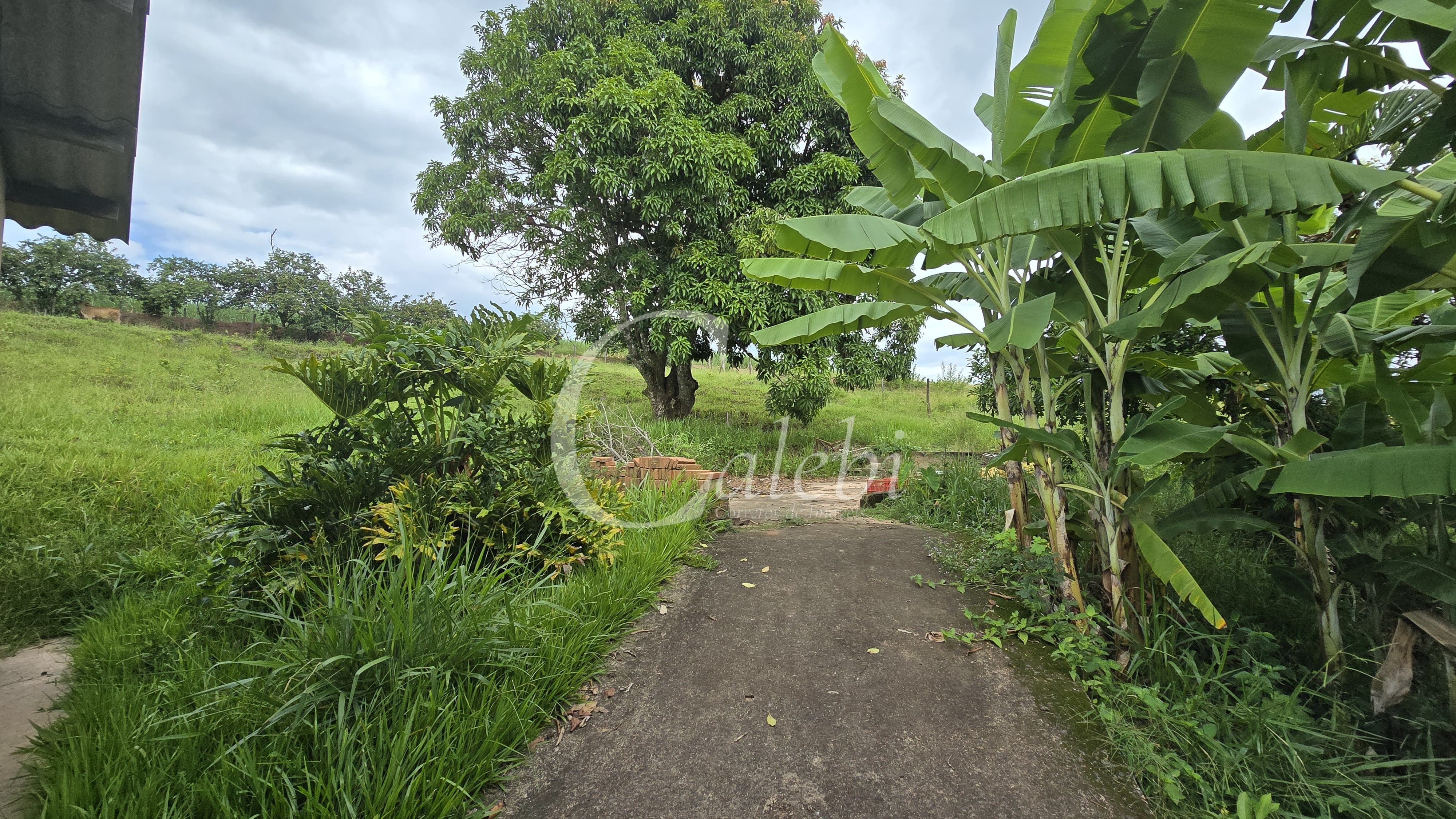 Sítio, 3 quartos, 4 hectares - Foto 68