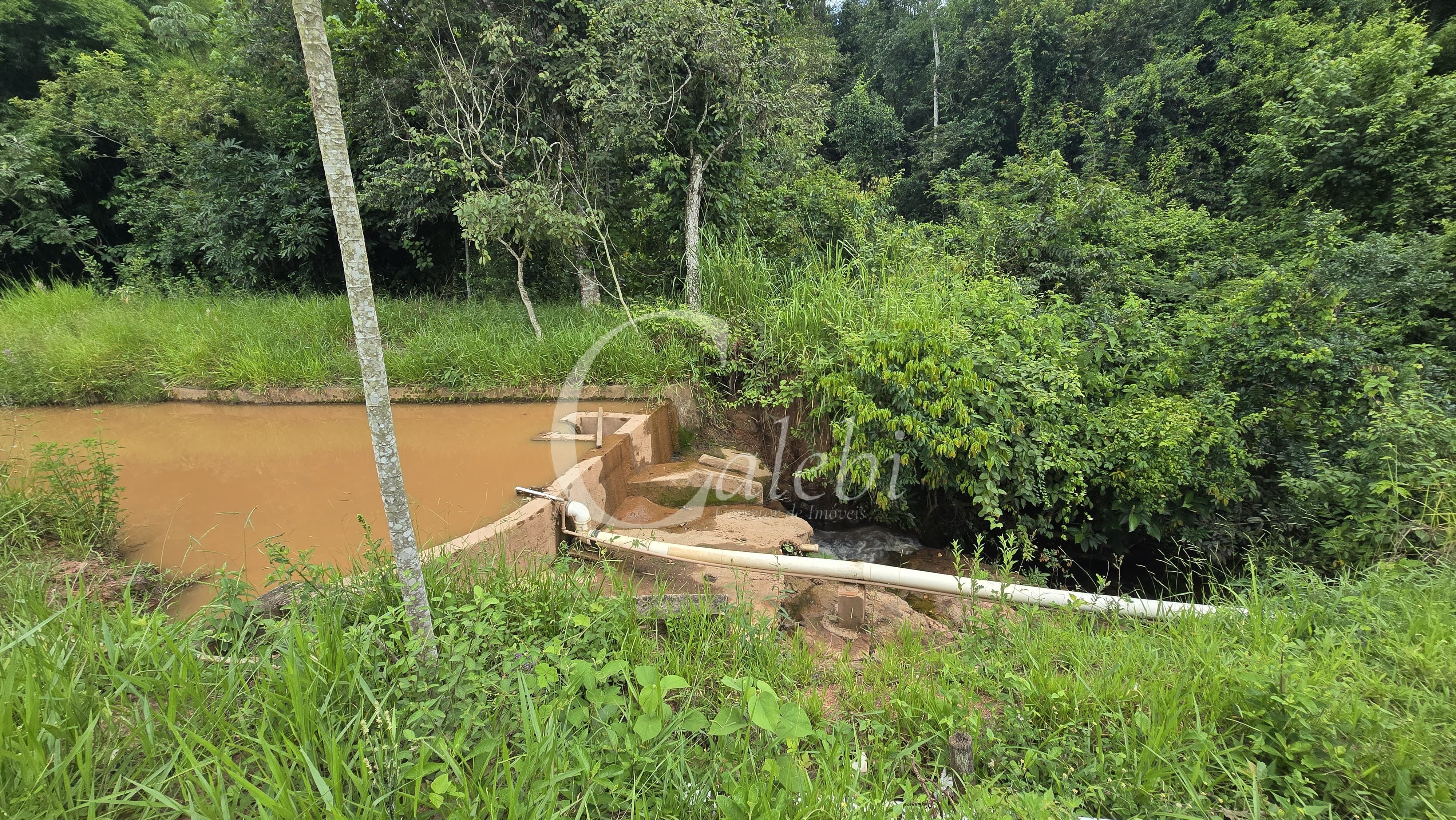 Sítio, 3 quartos, 4 hectares - Foto 69