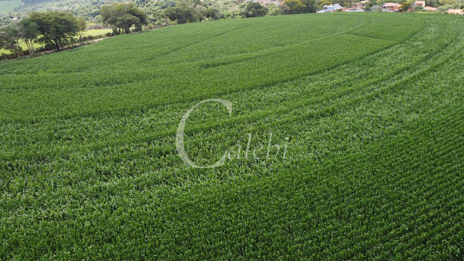 Terreno, 7 m² - Foto 3