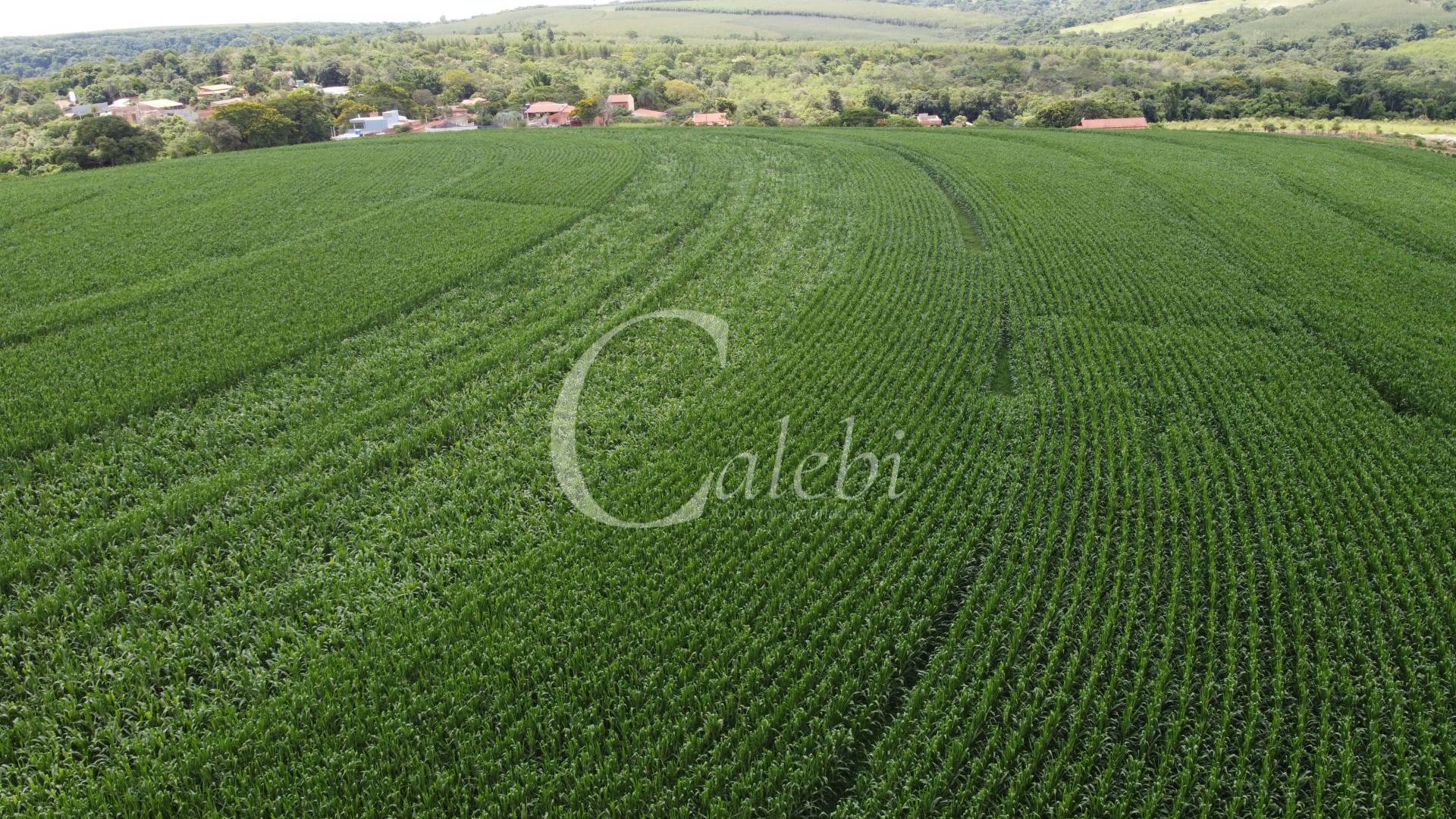 Terreno, 7 m² - Foto 4