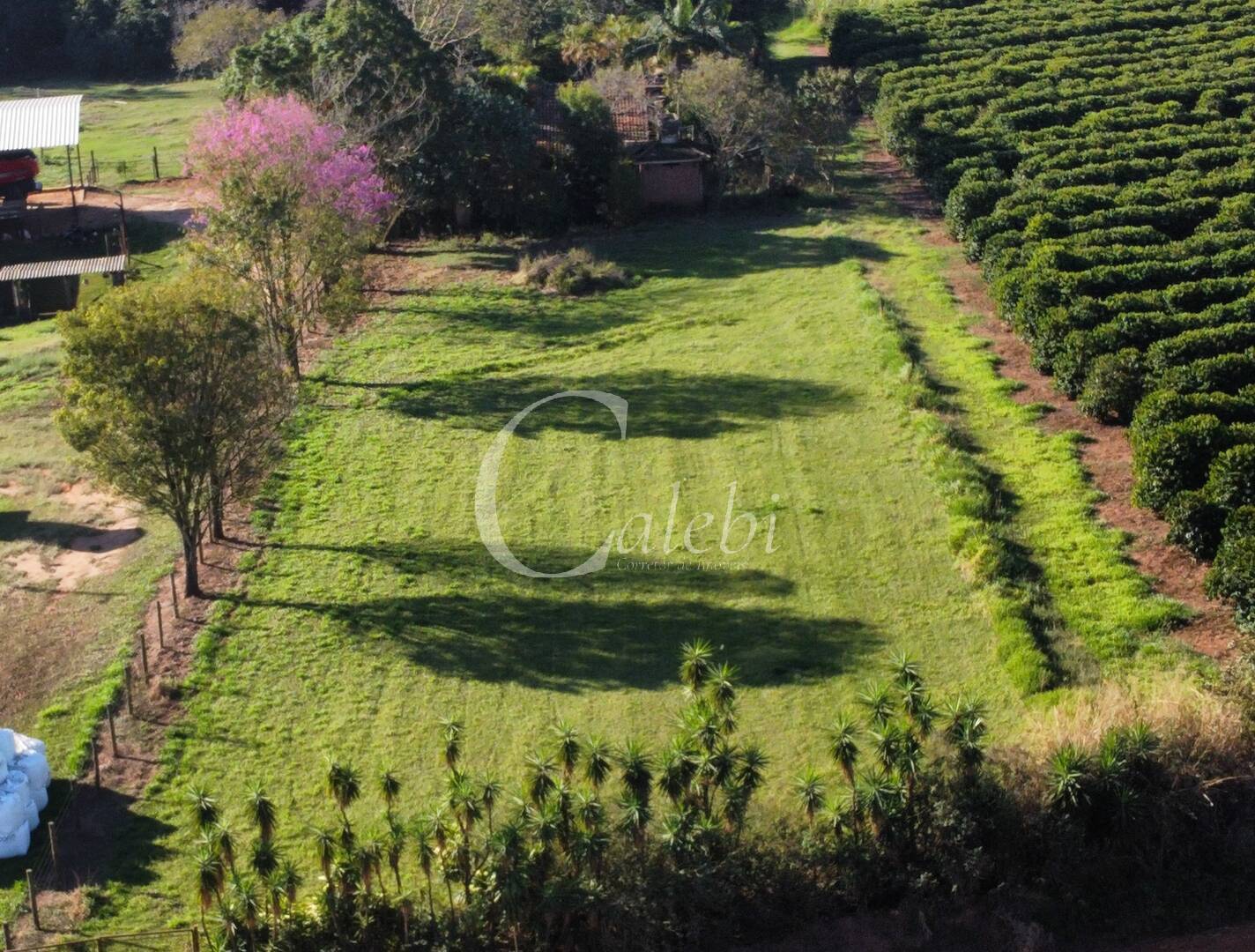 Sítio, 2 quartos, 6000 m² - Foto 1