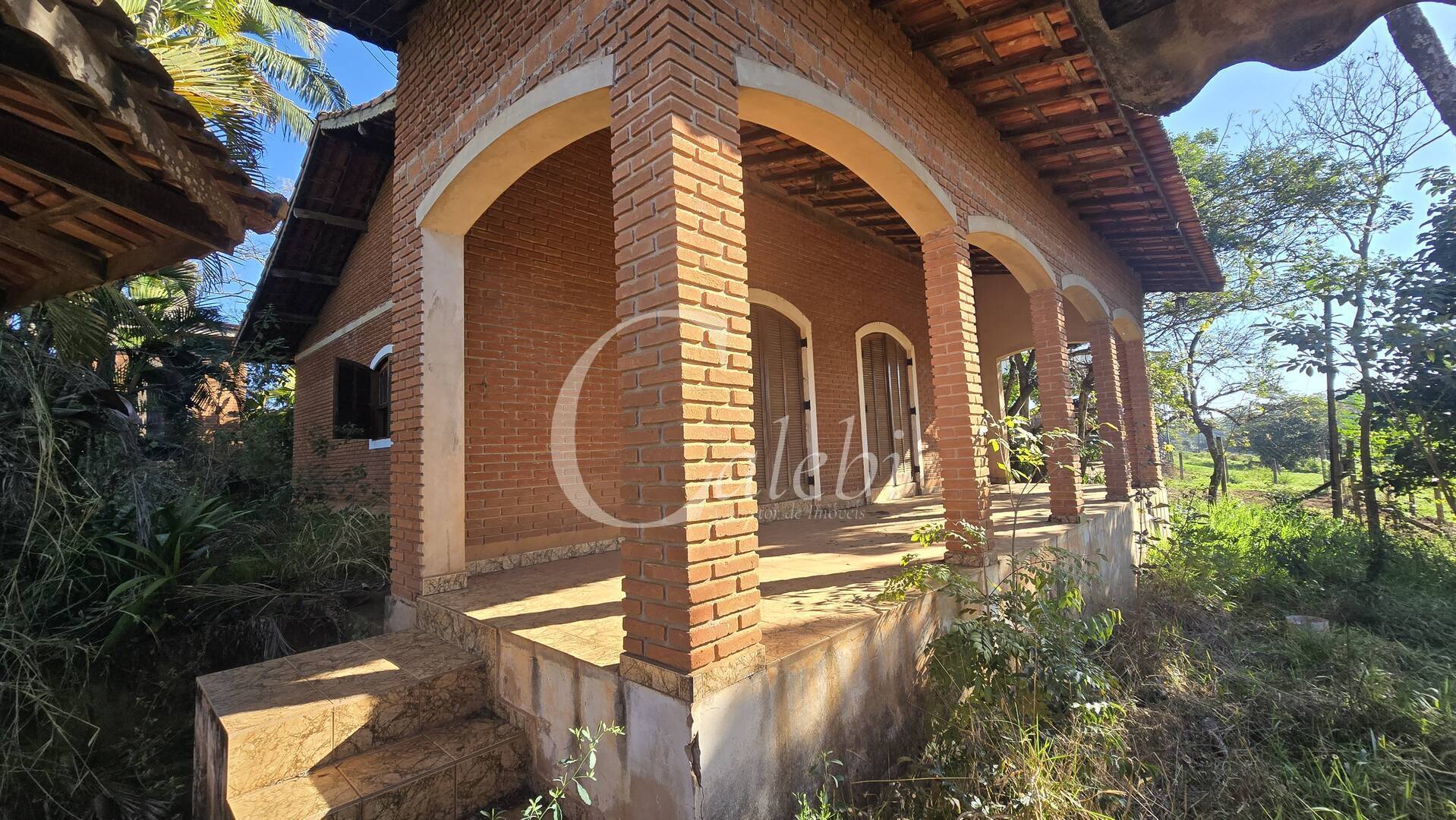 Sítio, 2 quartos, 6000 m² - Foto 3
