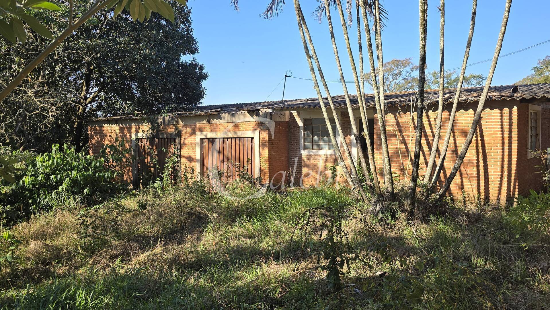 Sítio, 2 quartos, 6000 m² - Foto 6