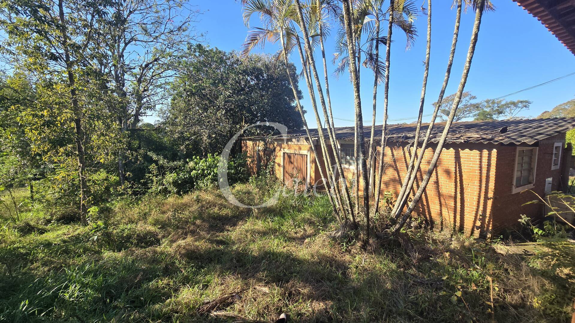 Sítio, 2 quartos, 6000 m² - Foto 9