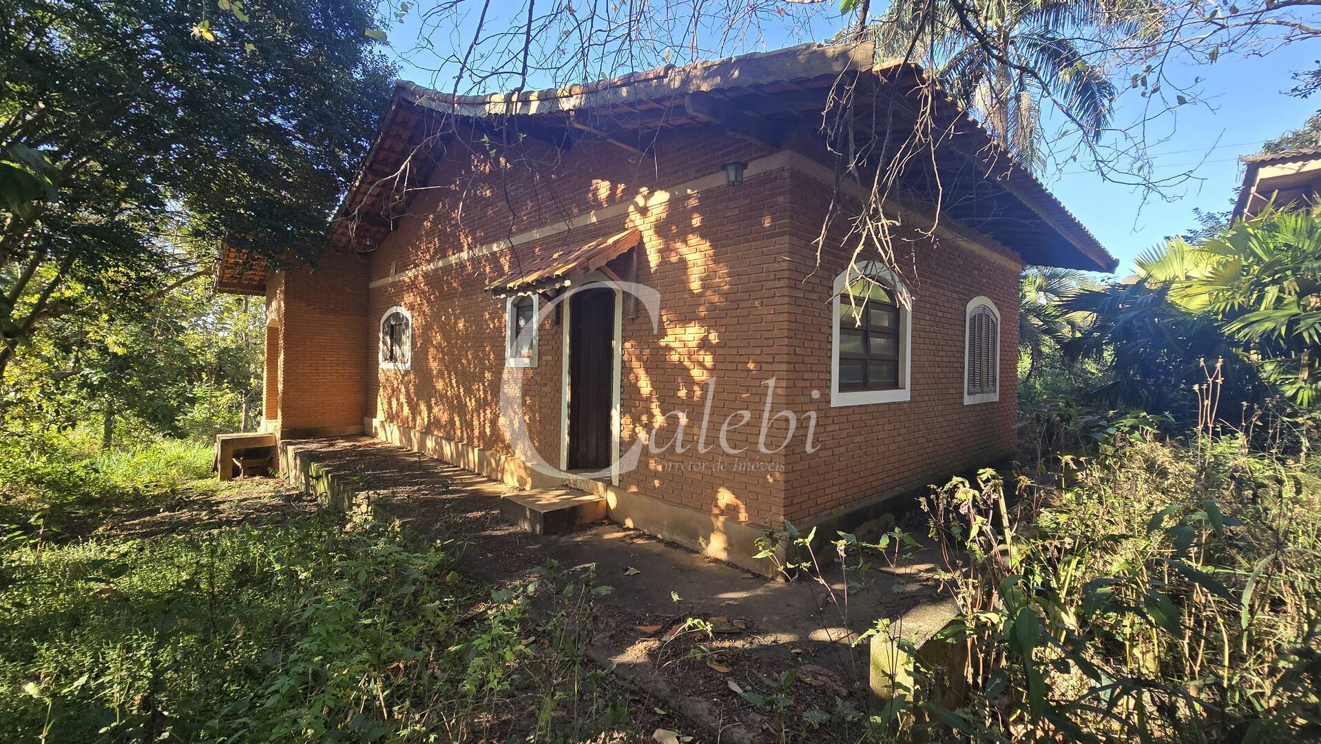 Sítio, 2 quartos, 6000 m² - Foto 22